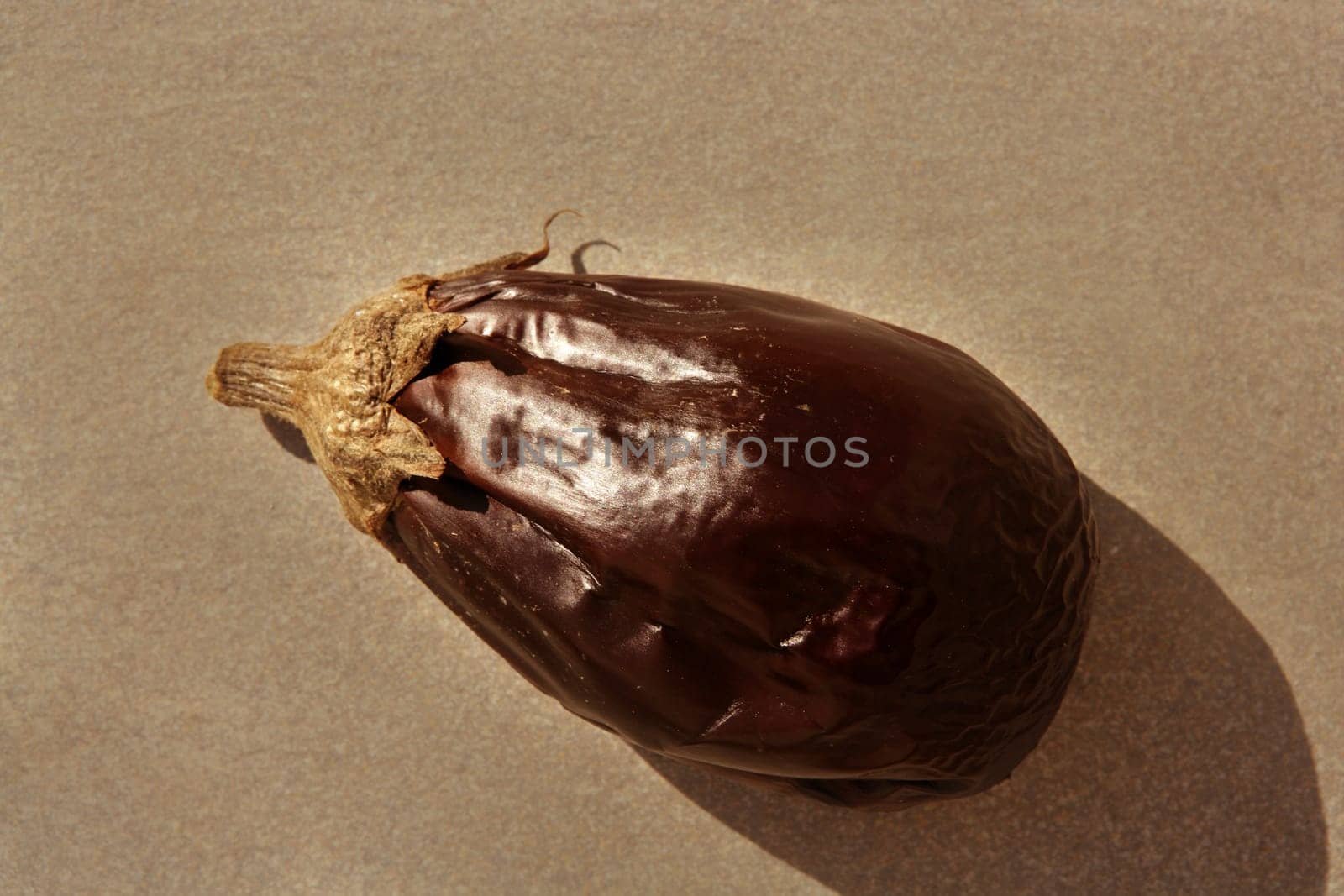 Eggplant rosted isolated on gray background with shadow