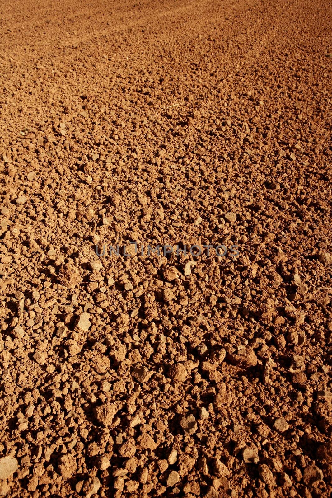 Clay red agriculture textured soil of farmanland