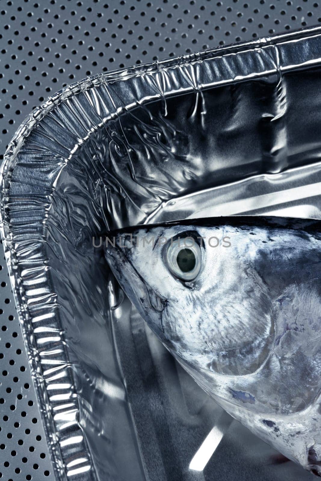 Euthynnus alletteratus, called false albacore from Mediterranean sea