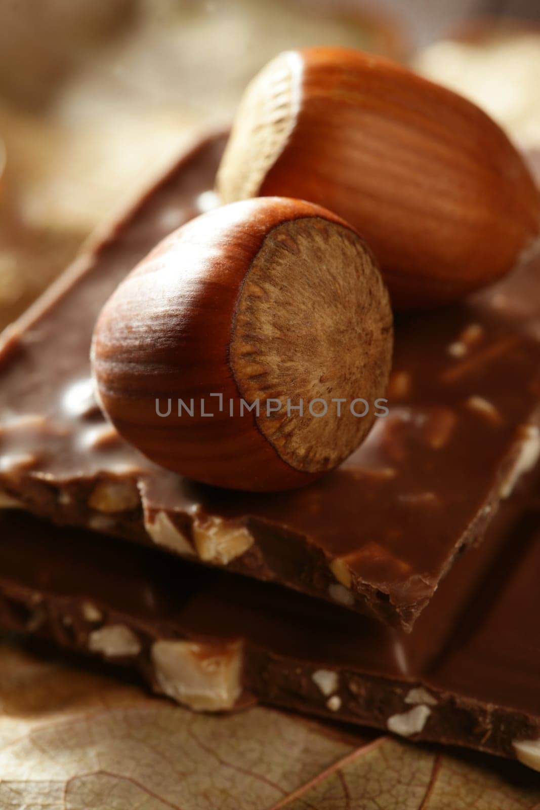 Hazelnuts and chocolate at studio. Golden brown winter image
