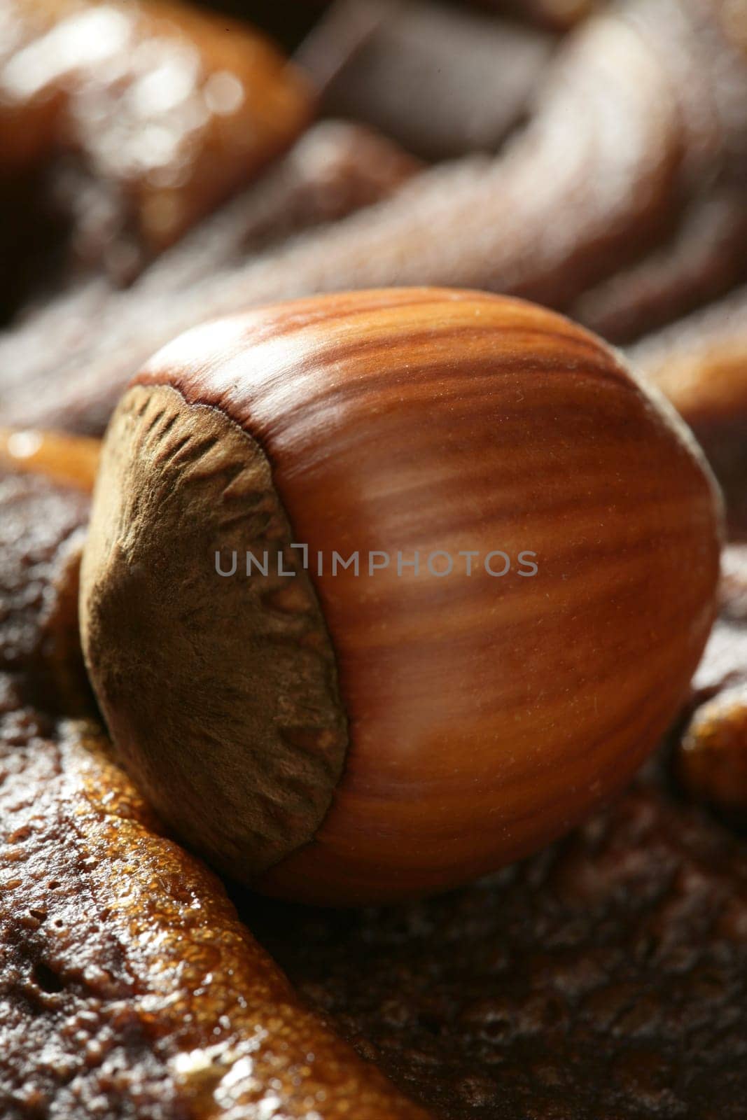 Hazelnuts and chocolate at studio. Golden brown winter image