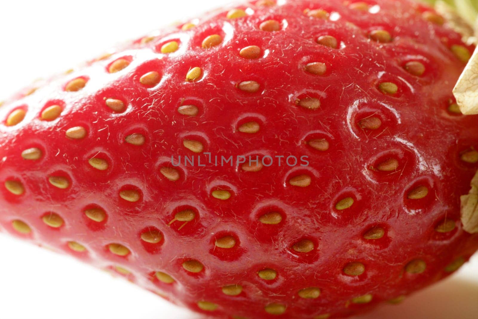 Strawberry macro detail. studio shot white background