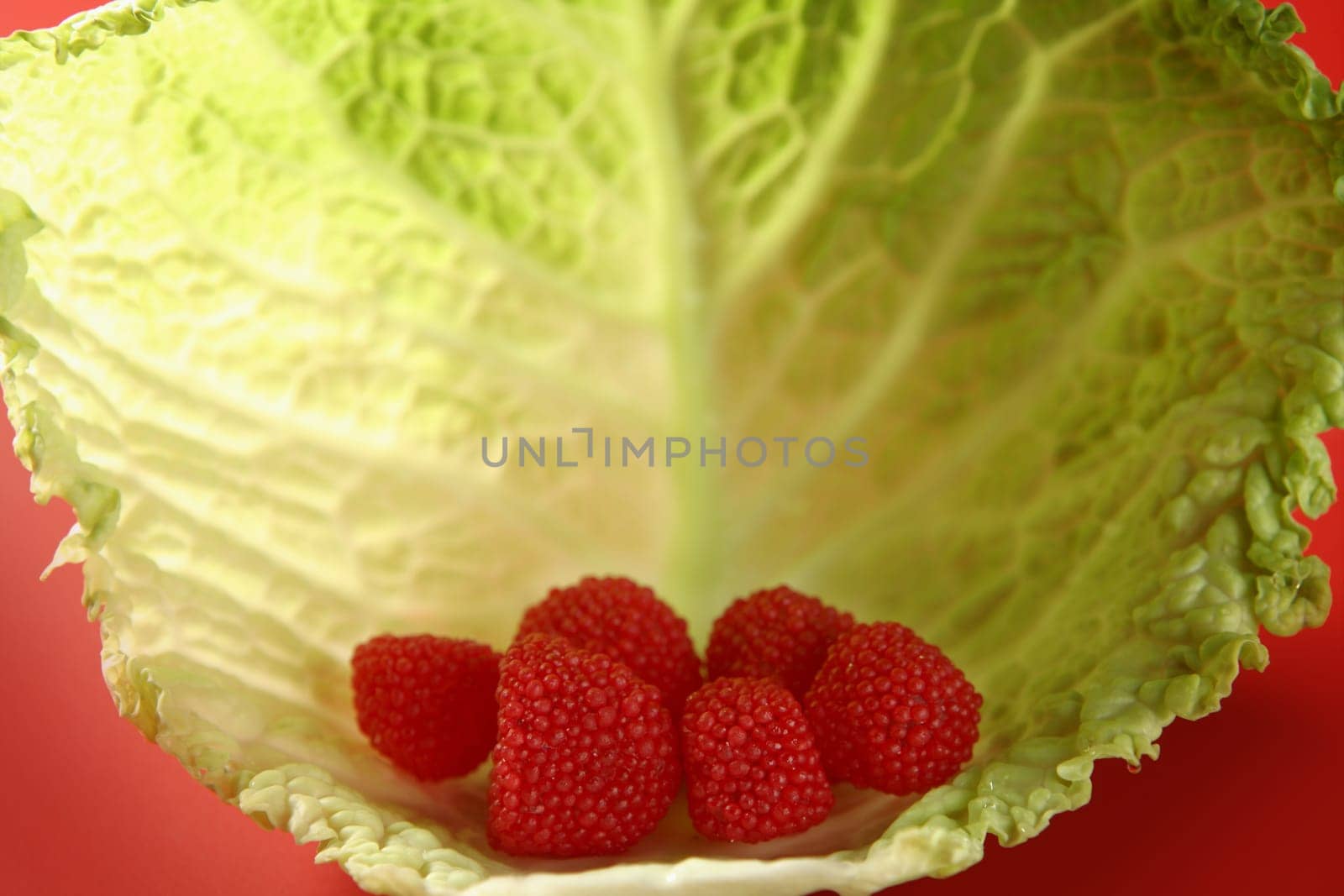 Candy sweets in a shell shape cabbage green leaf