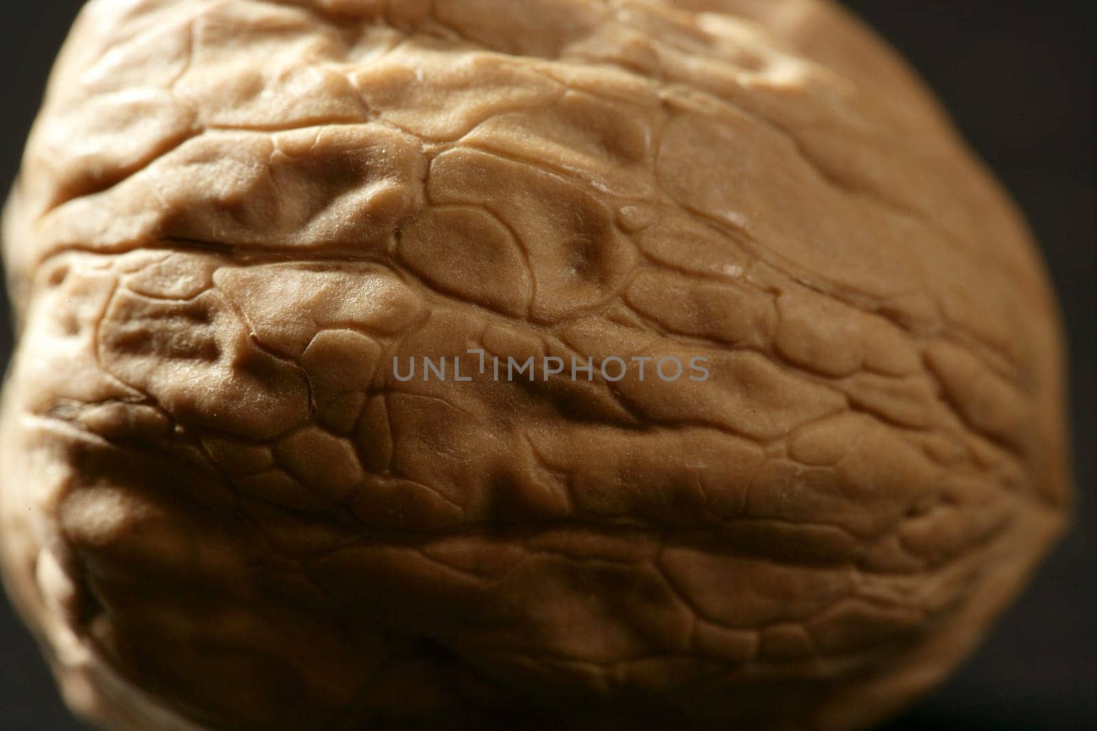 One walnut with shells over black background and shadows
