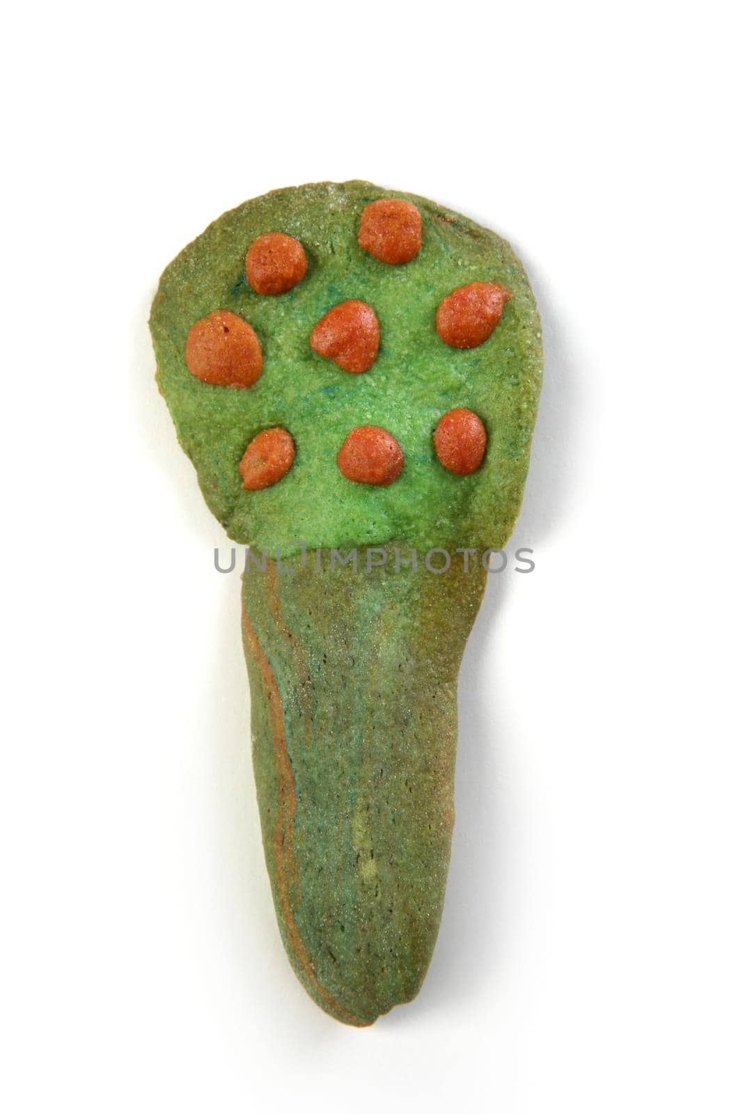 tree shape green biscuits with orange fruits isolated