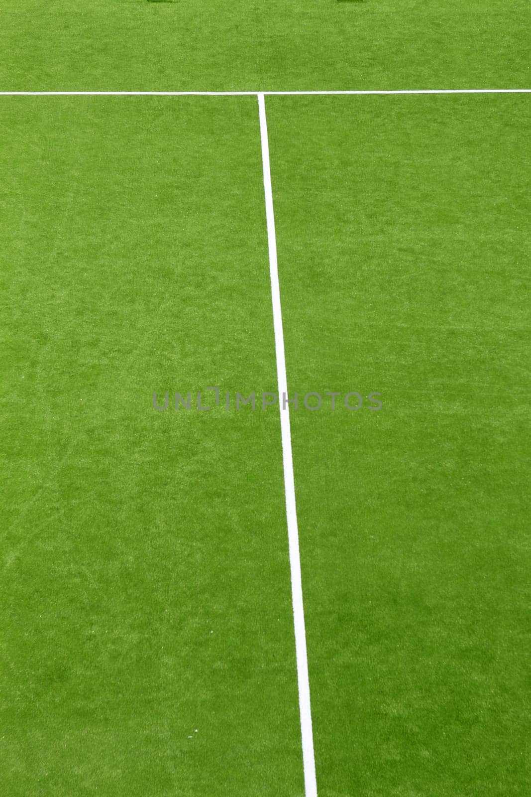 paddle tennis green grass field texture white lines