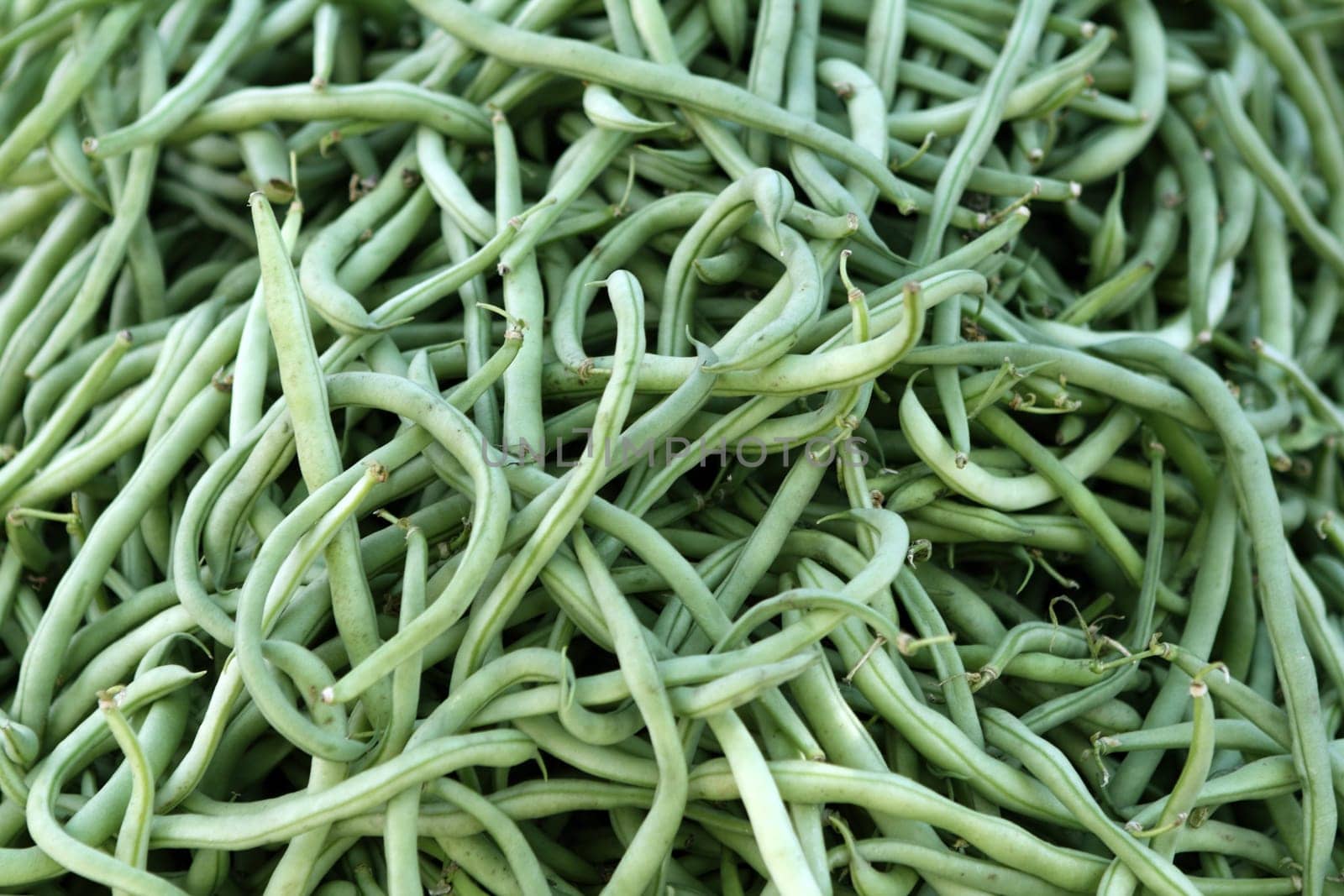 green beans stack market vegetables shop texture background