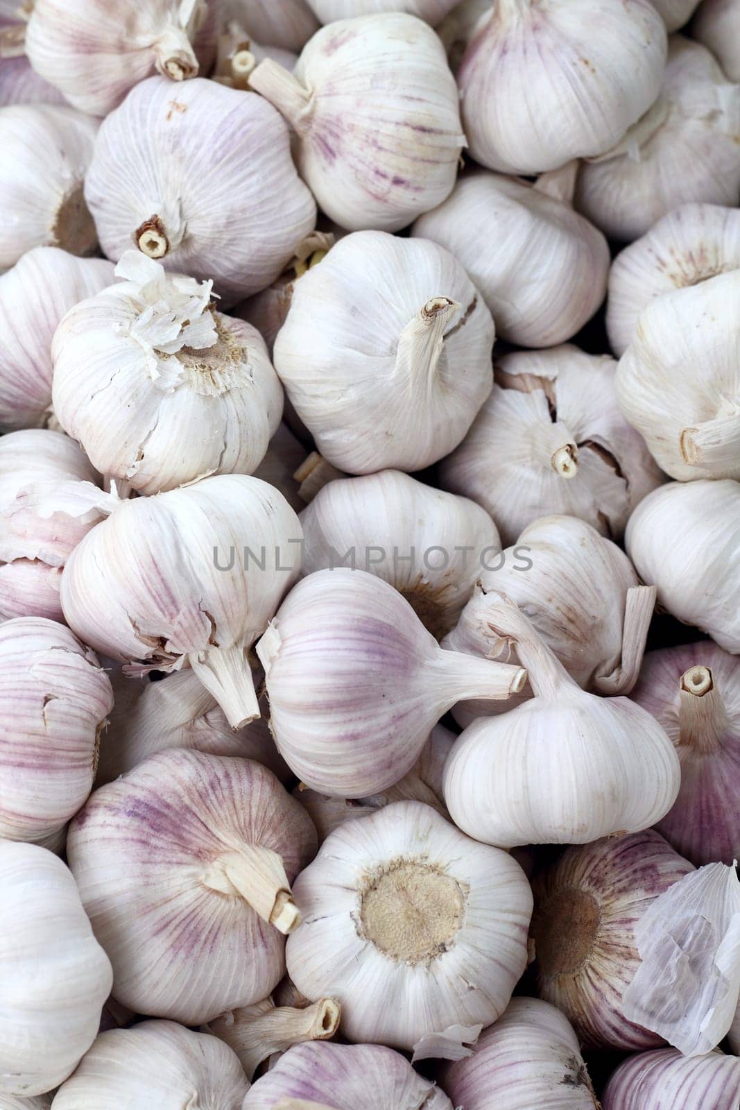 garlic pattern background on market in spain