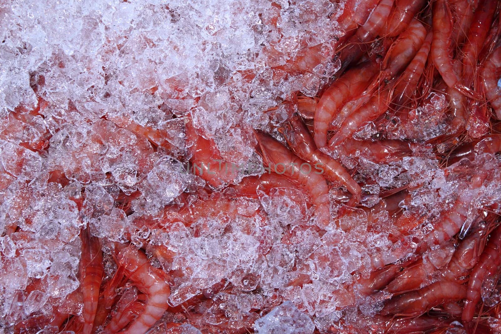 ice and mediterranean shrimp on market pattern background