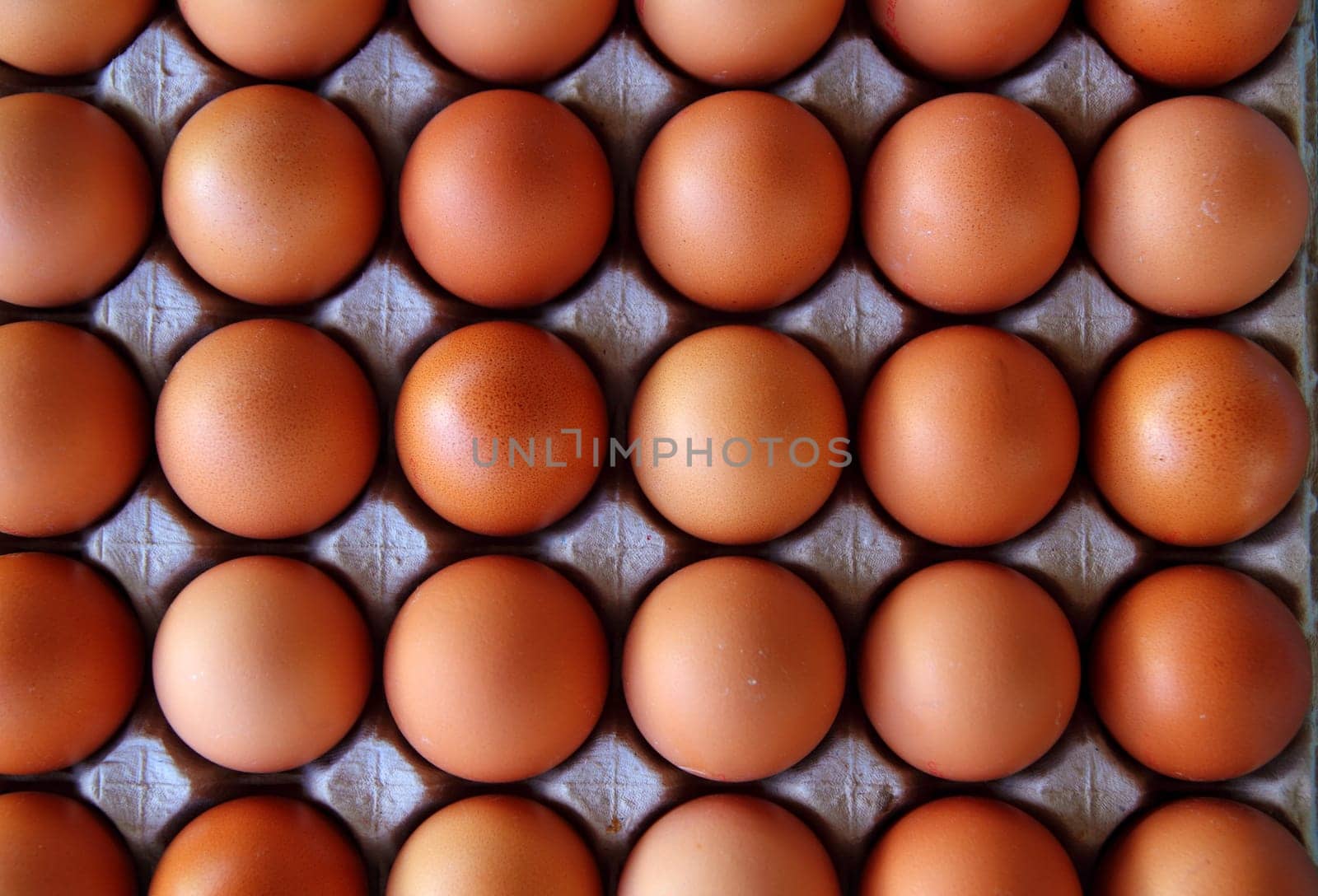 hen eggs rows pattern box food background
