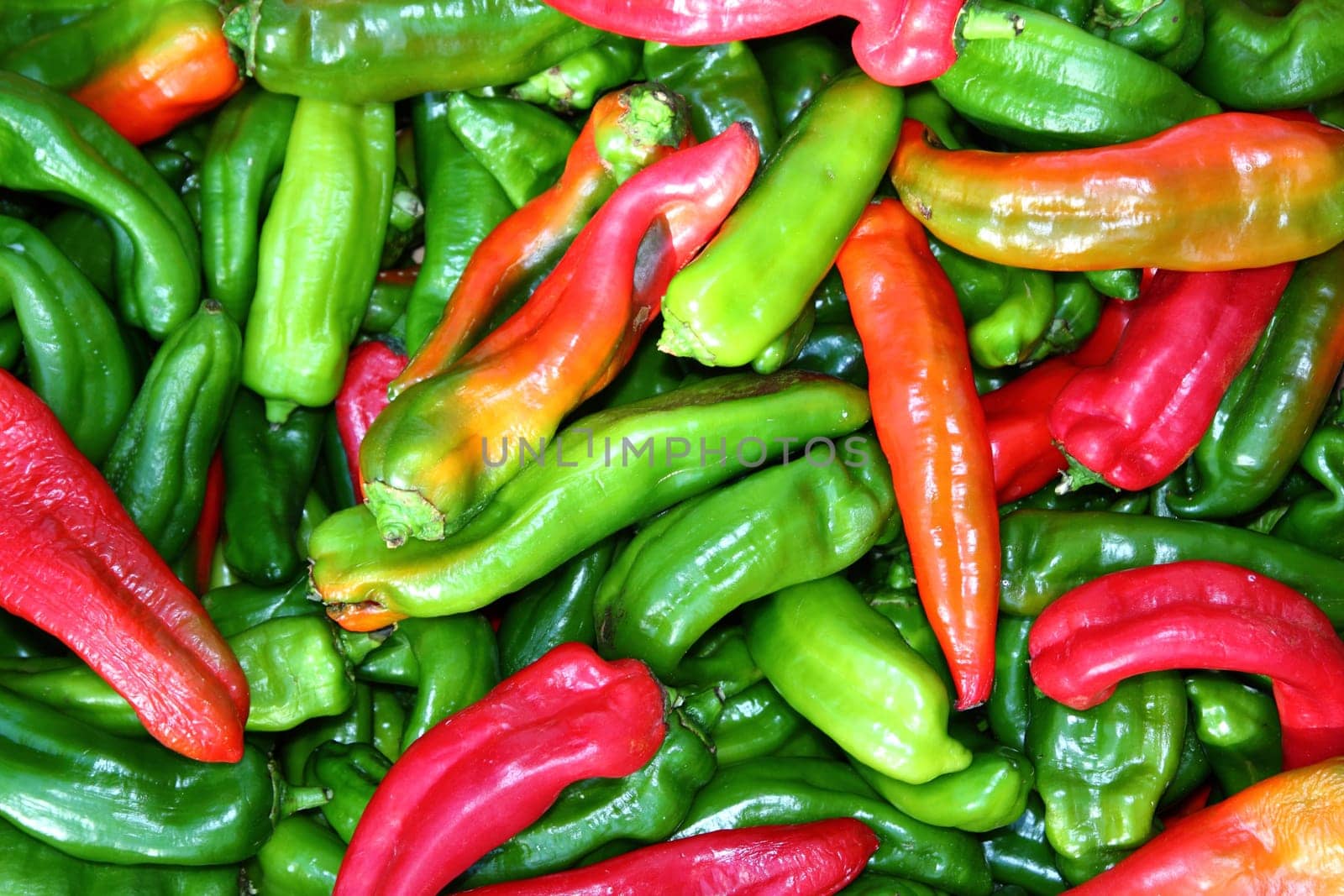 green red pepper pattenr coloful vegetables background pattern