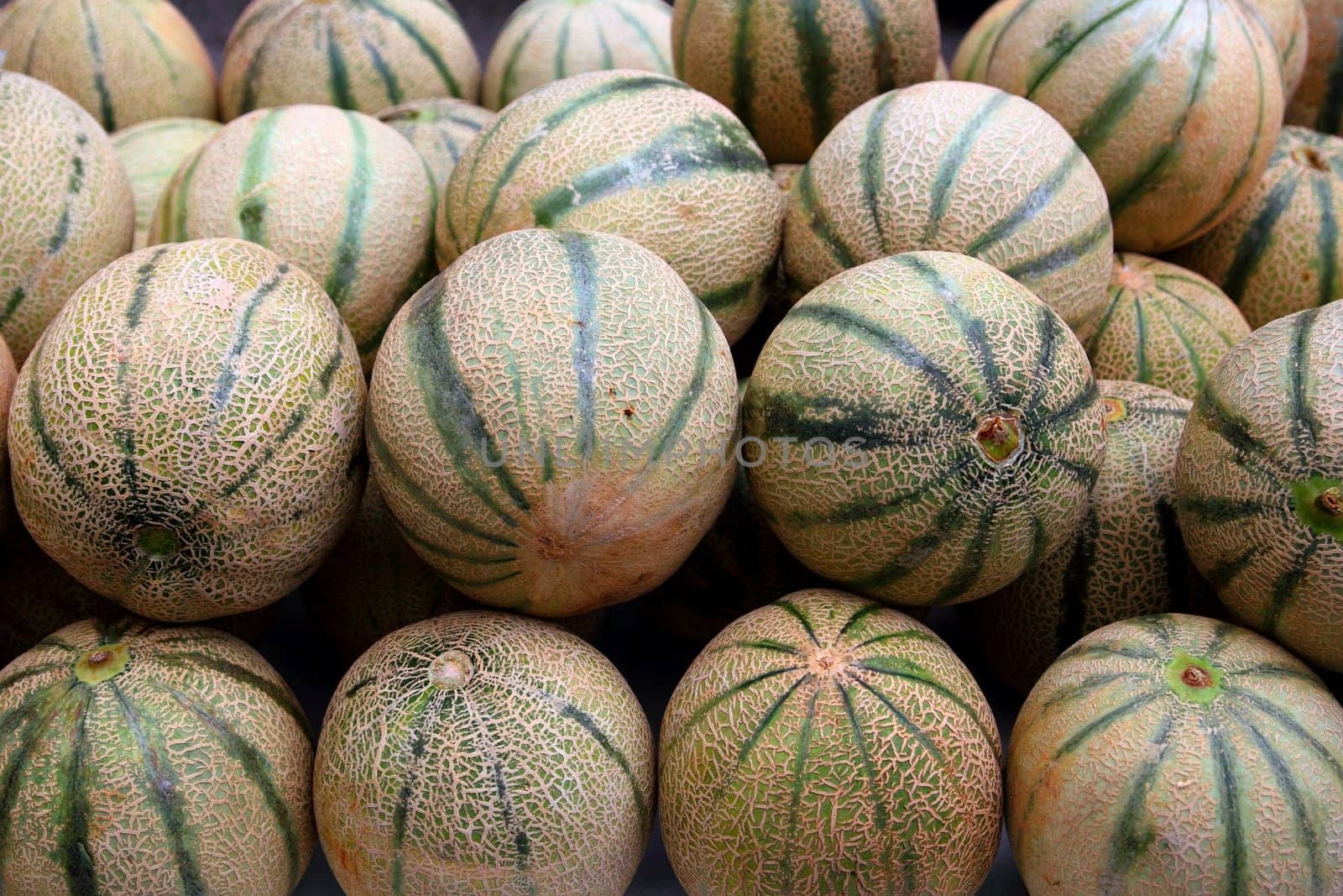 Cantaloupe rock melon muskmelon spanspek stacked on market