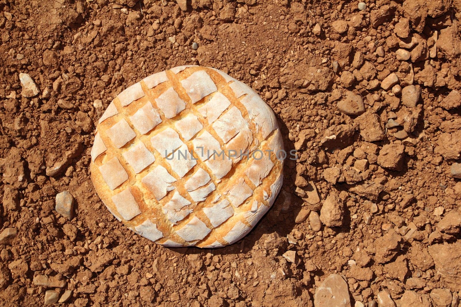 Bread bun round over red clay soil background texture