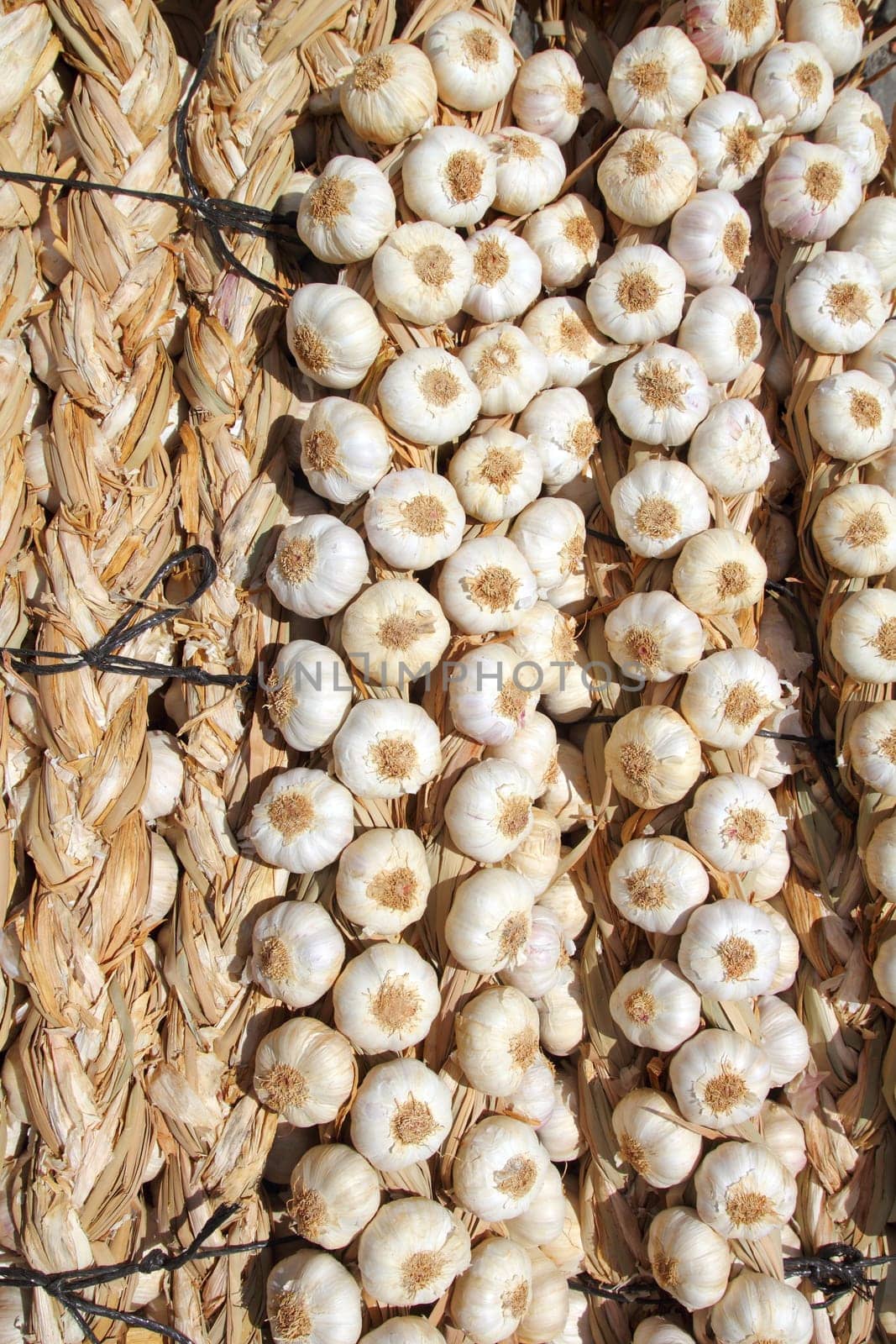 garlic bundles strings food texture background pattern