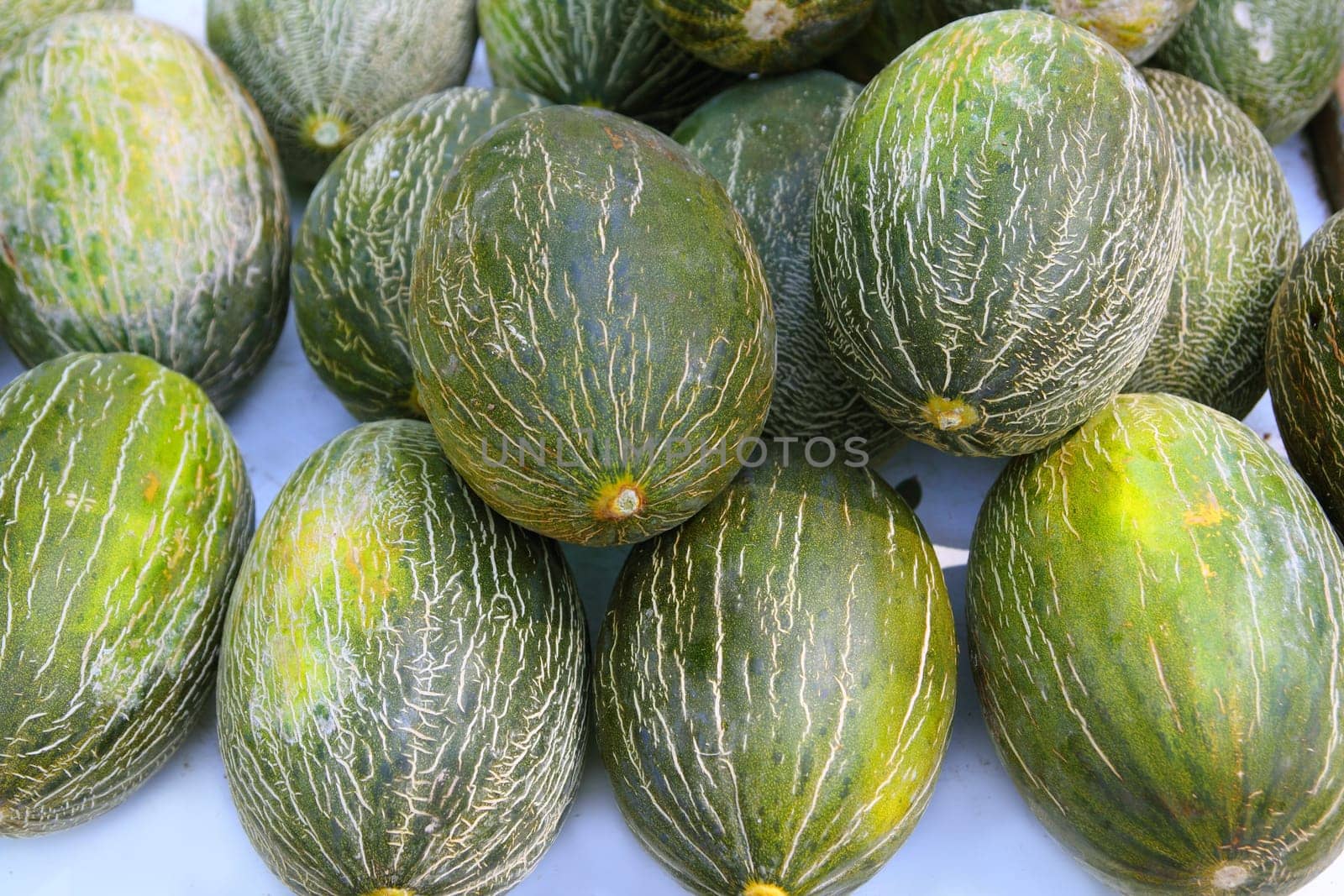 Piel de Sapo Santa Claus melon stacked rows in fruit market