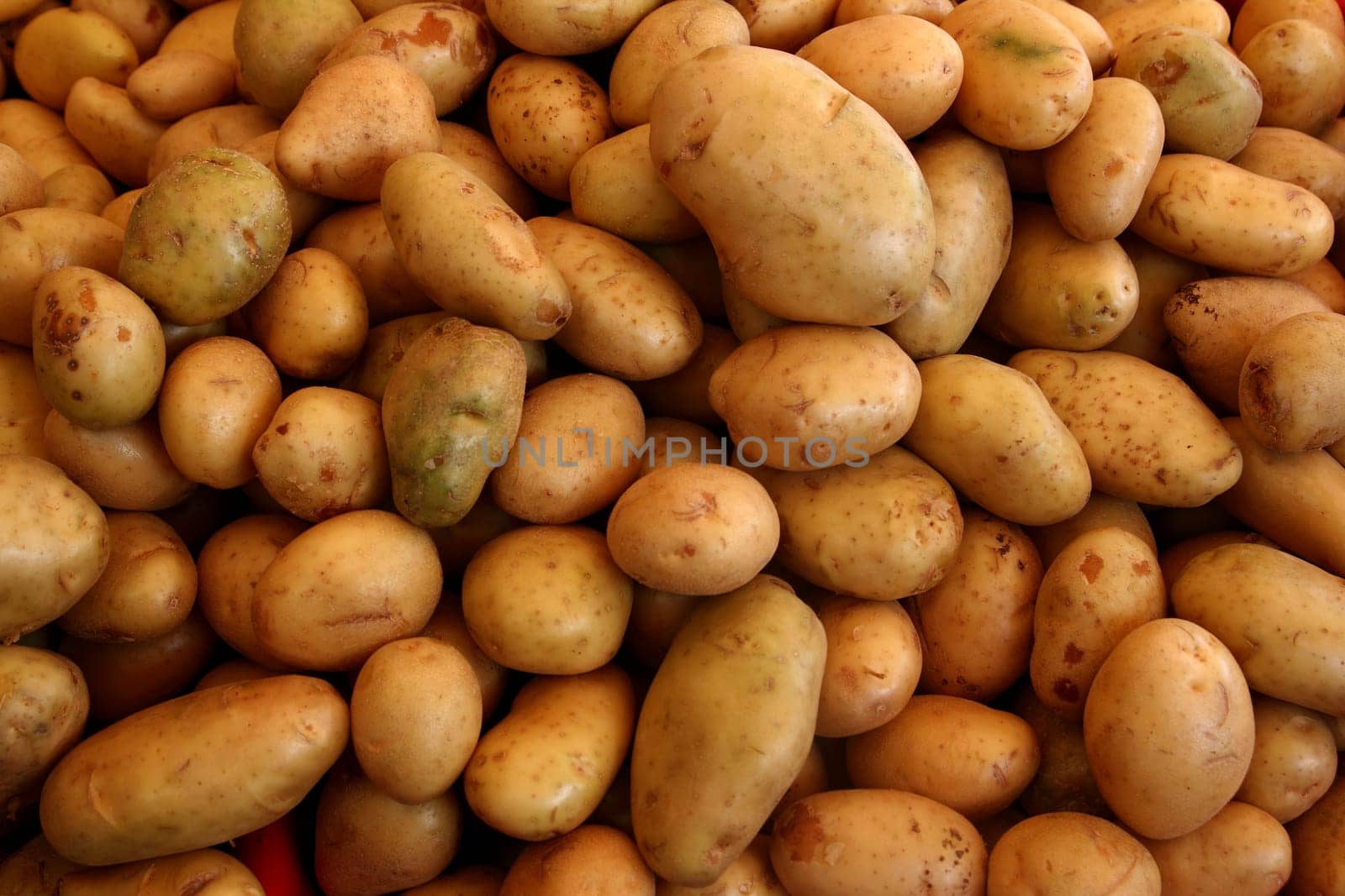 potatoes vegetable pattern background