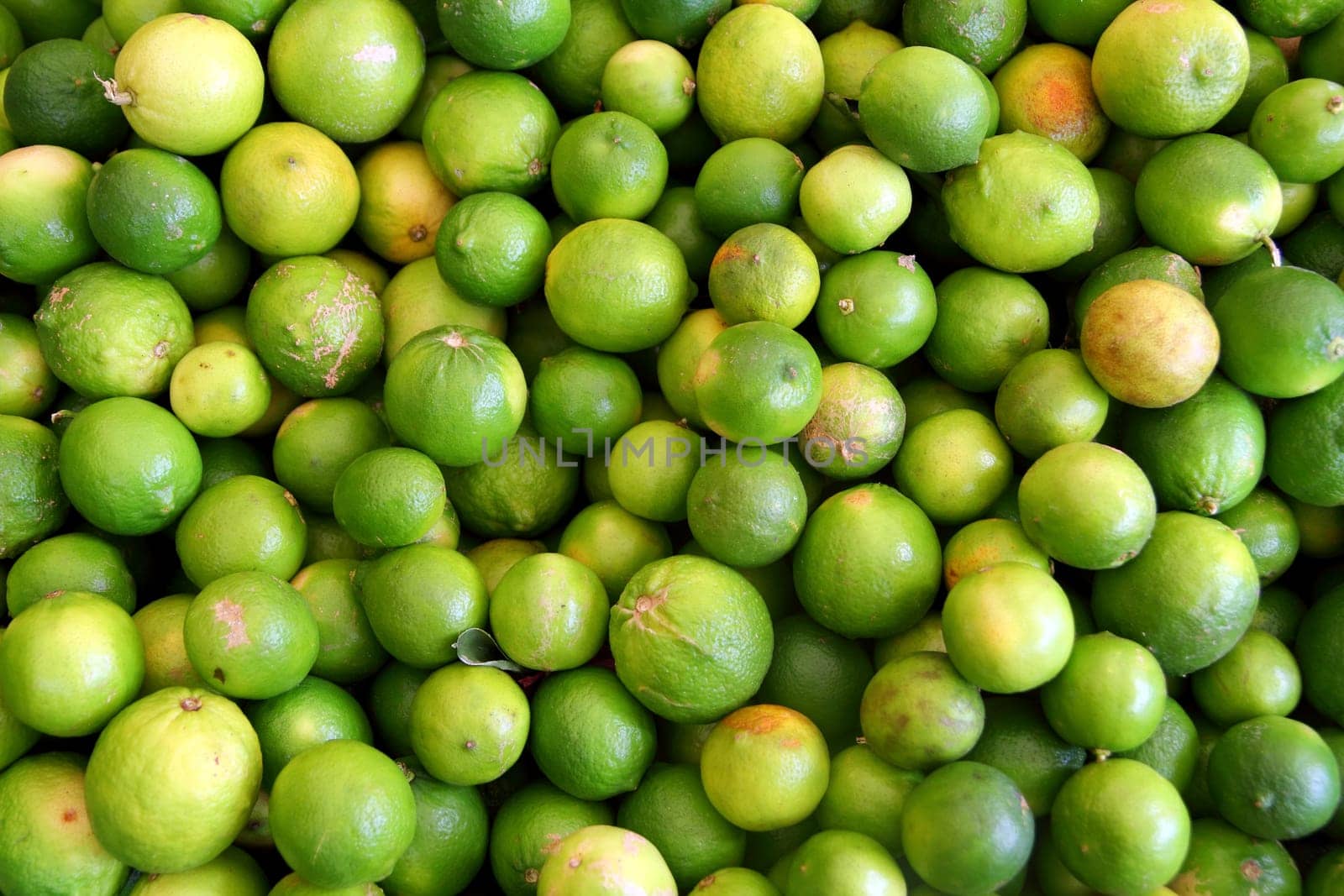 Lemon citrus fruit pattern background