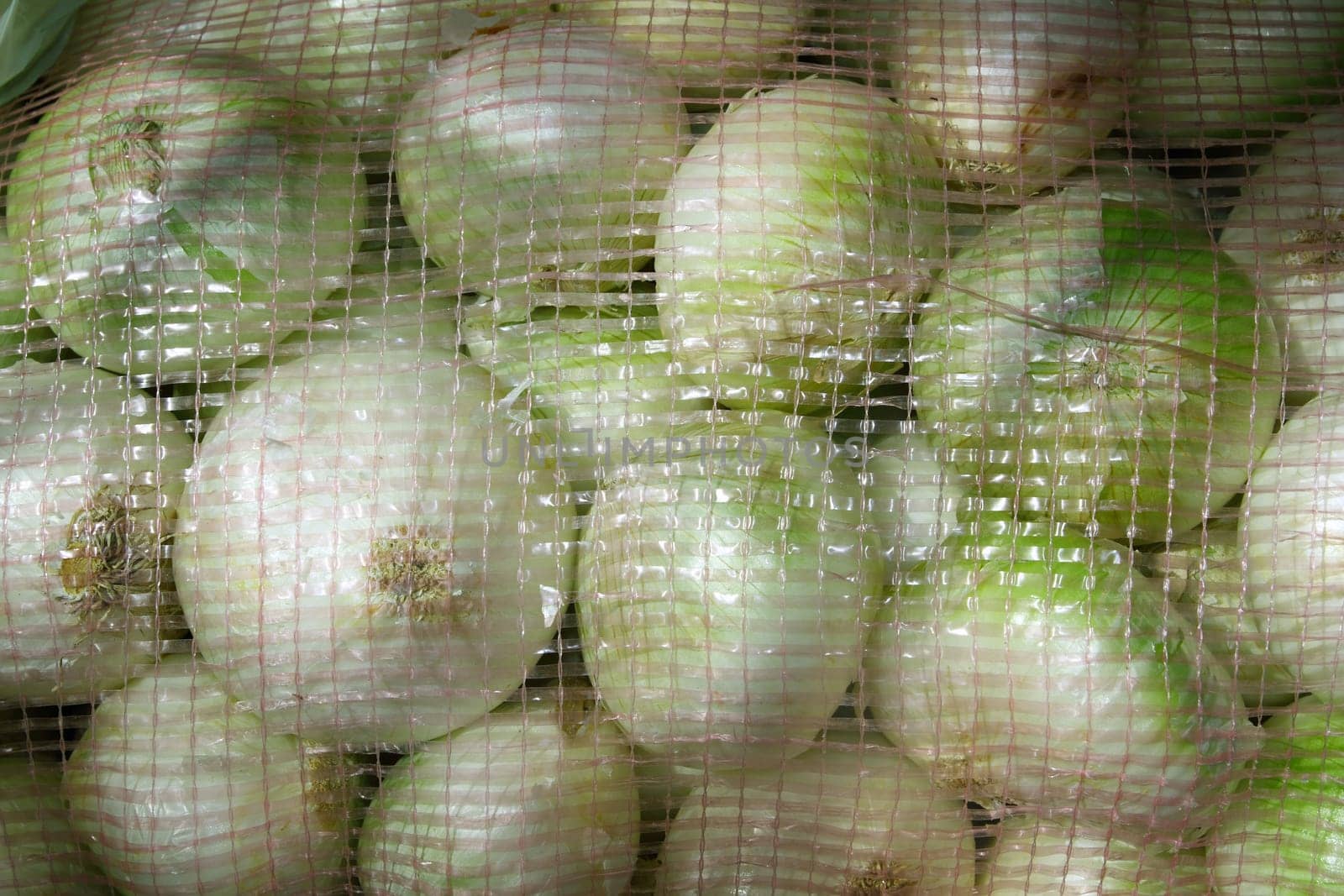 many onion view from sack net in market
