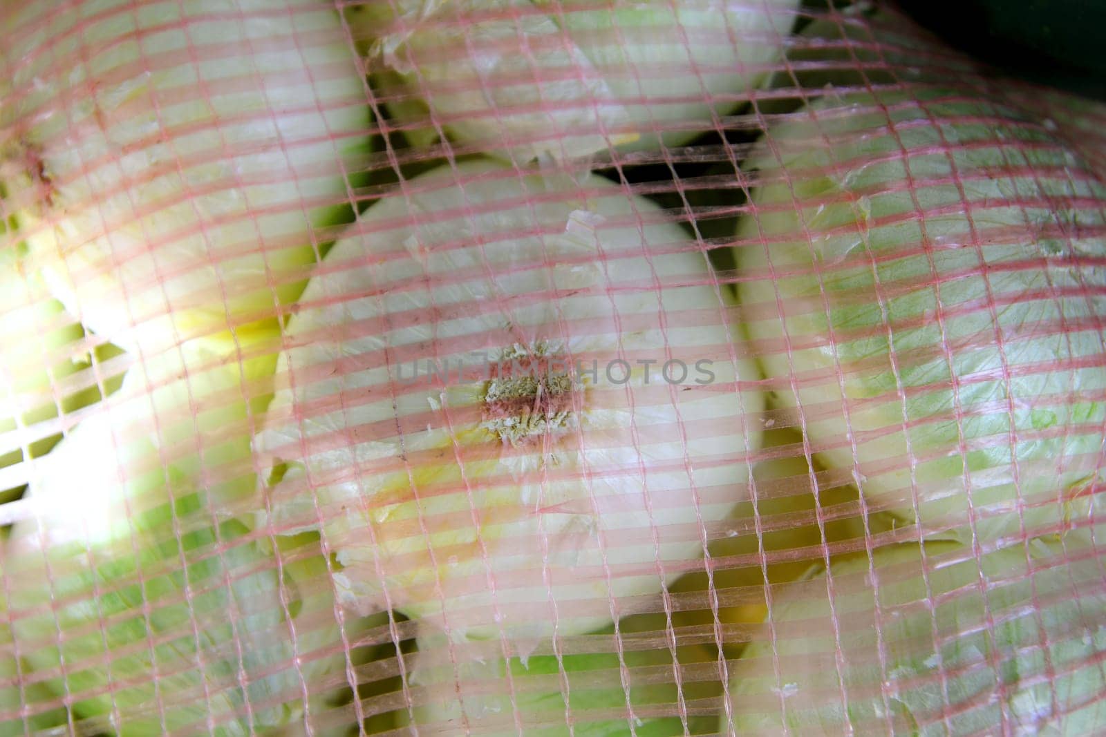 many onion view from sack net in market