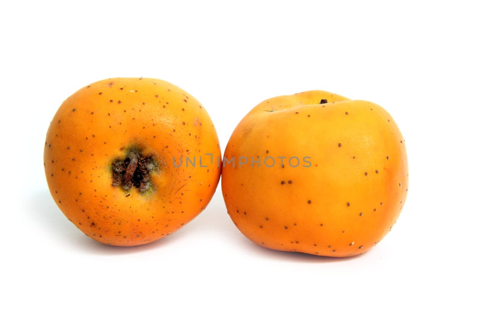 Tecojote winter fruit called Crataegus pubescens stipulacea