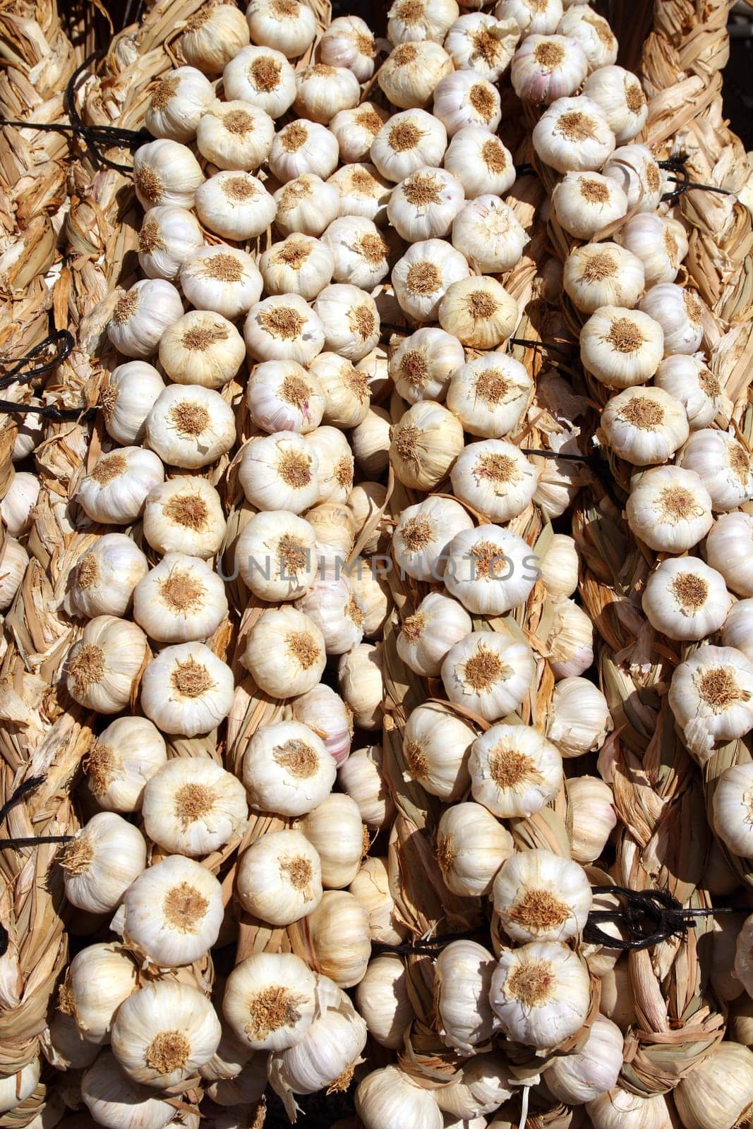 garlic rows food background pattern background