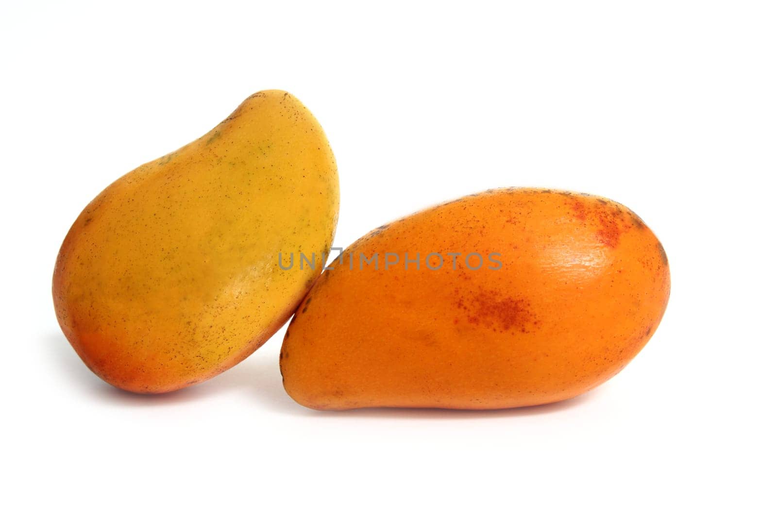 delicious mango tropical fruit isolated on white
