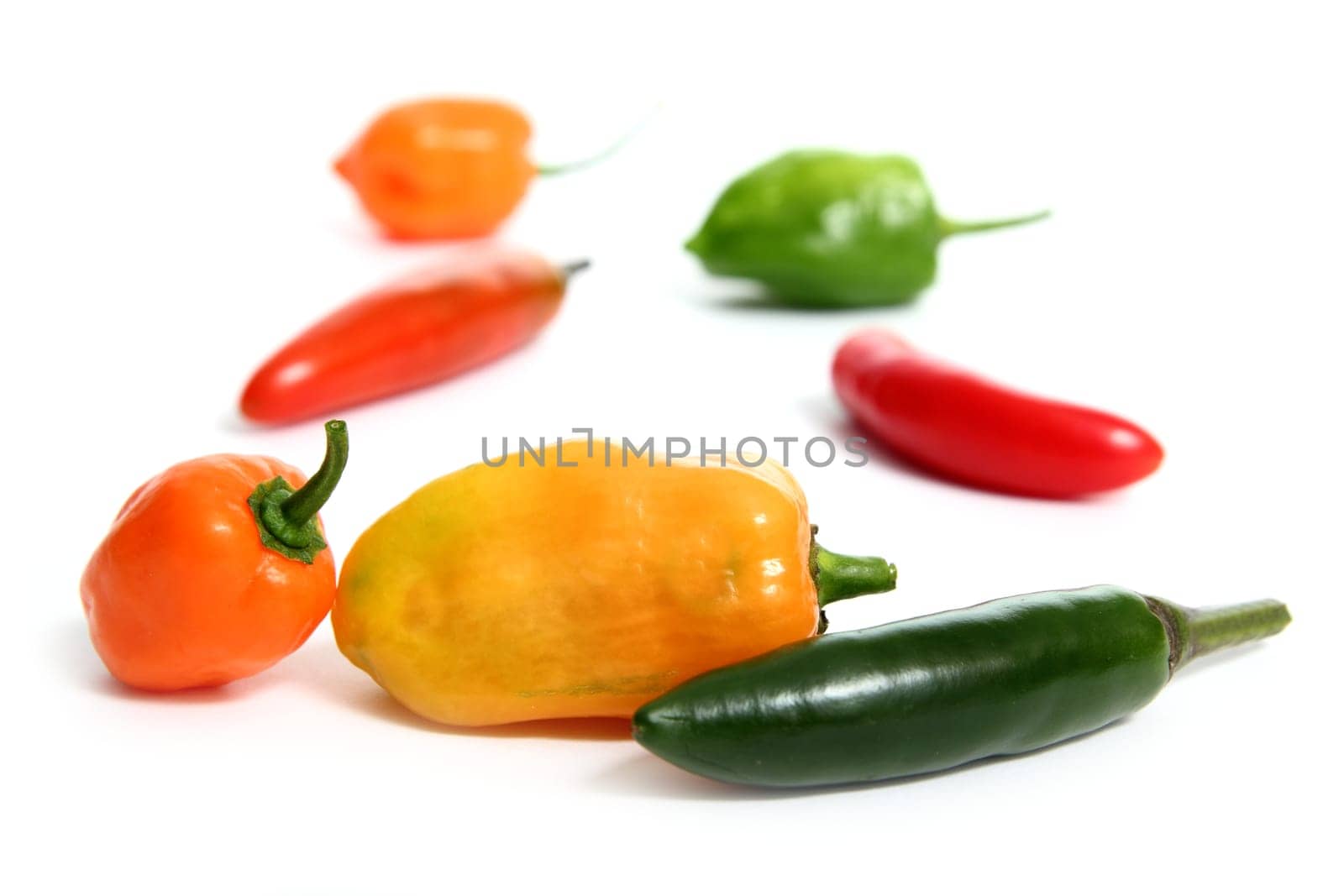 mixed chili Habanero Serrano hot mexican peppers