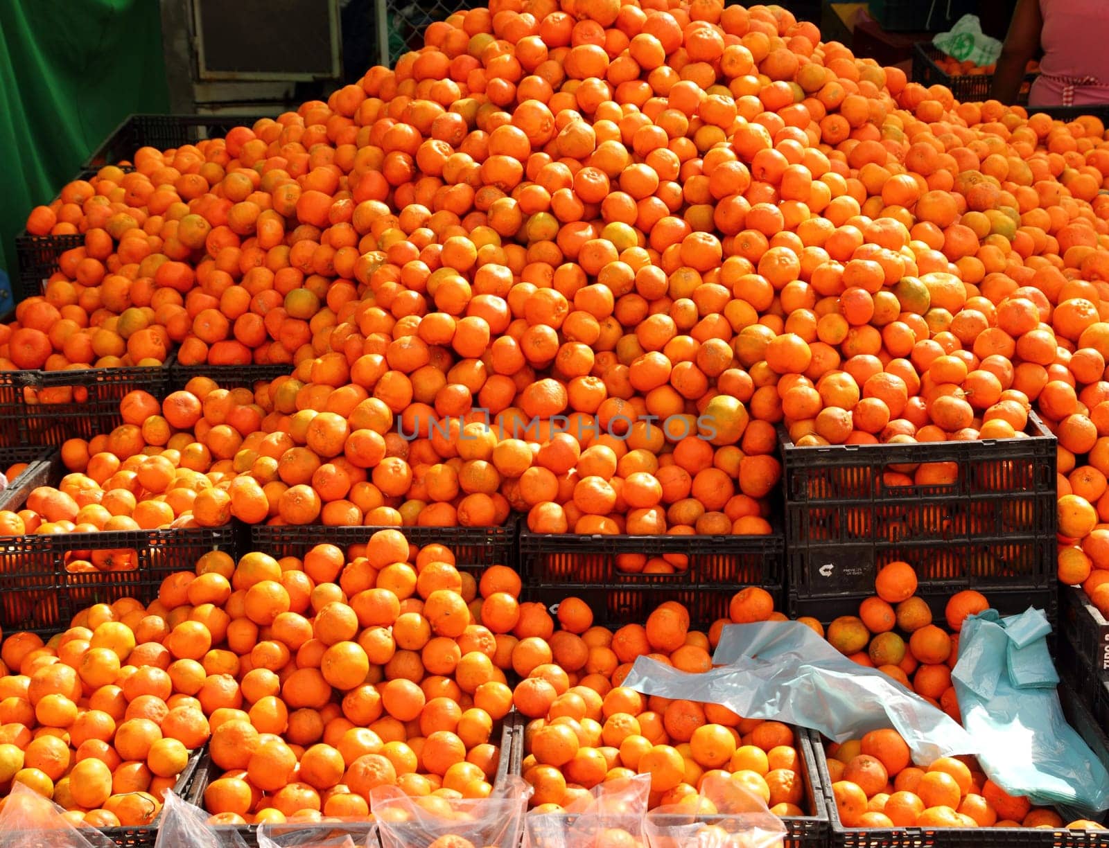 orange tangerines mound in citrus fruit market