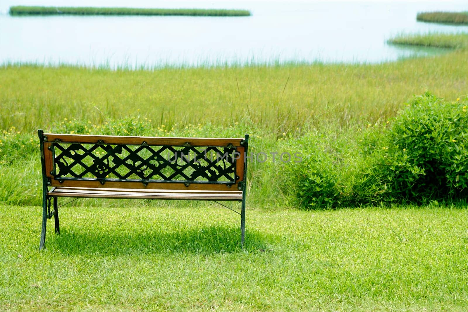 Bench over the green grass on the lake, peace metaphor