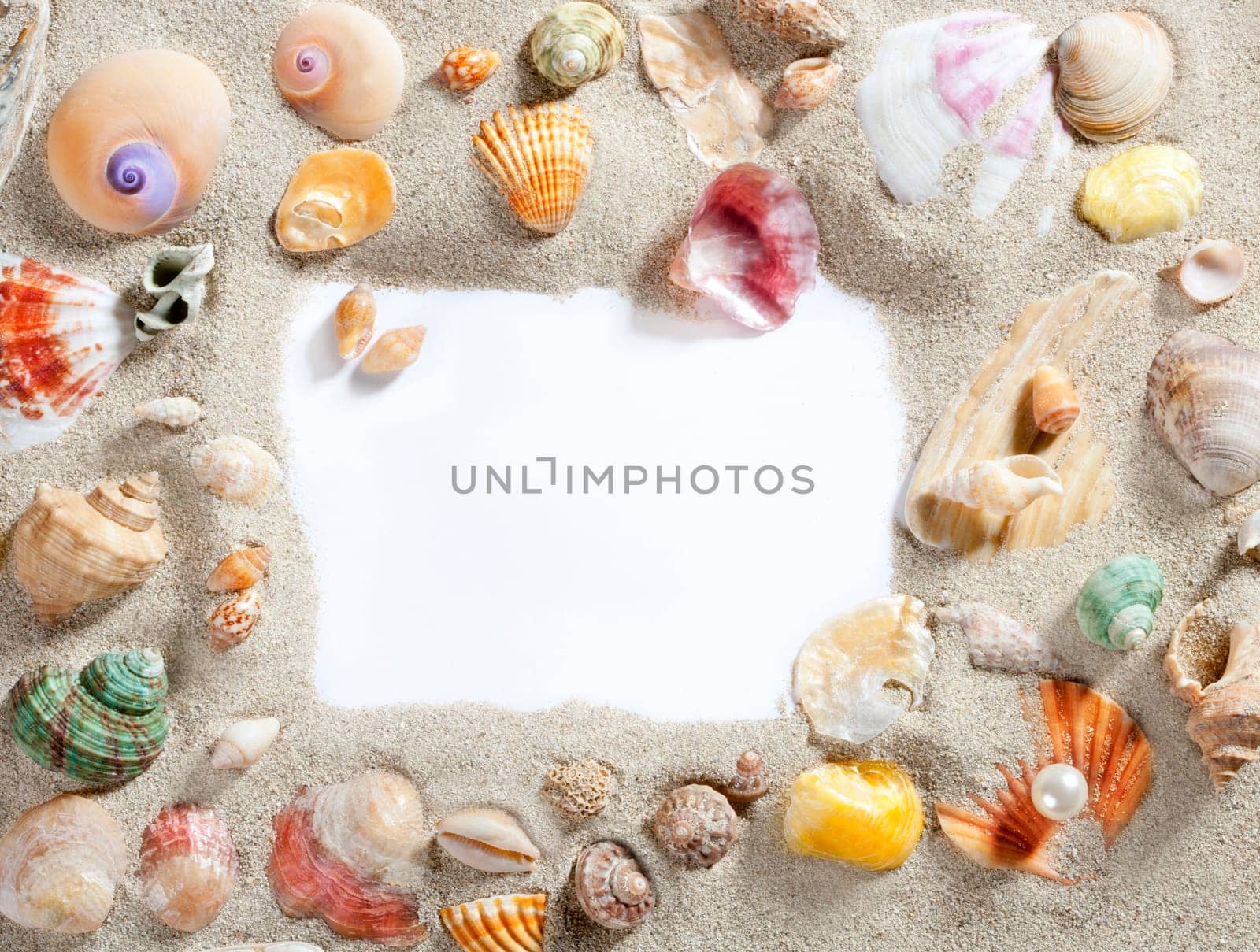 border summer shells frame composition over beach sand beach with blank paper