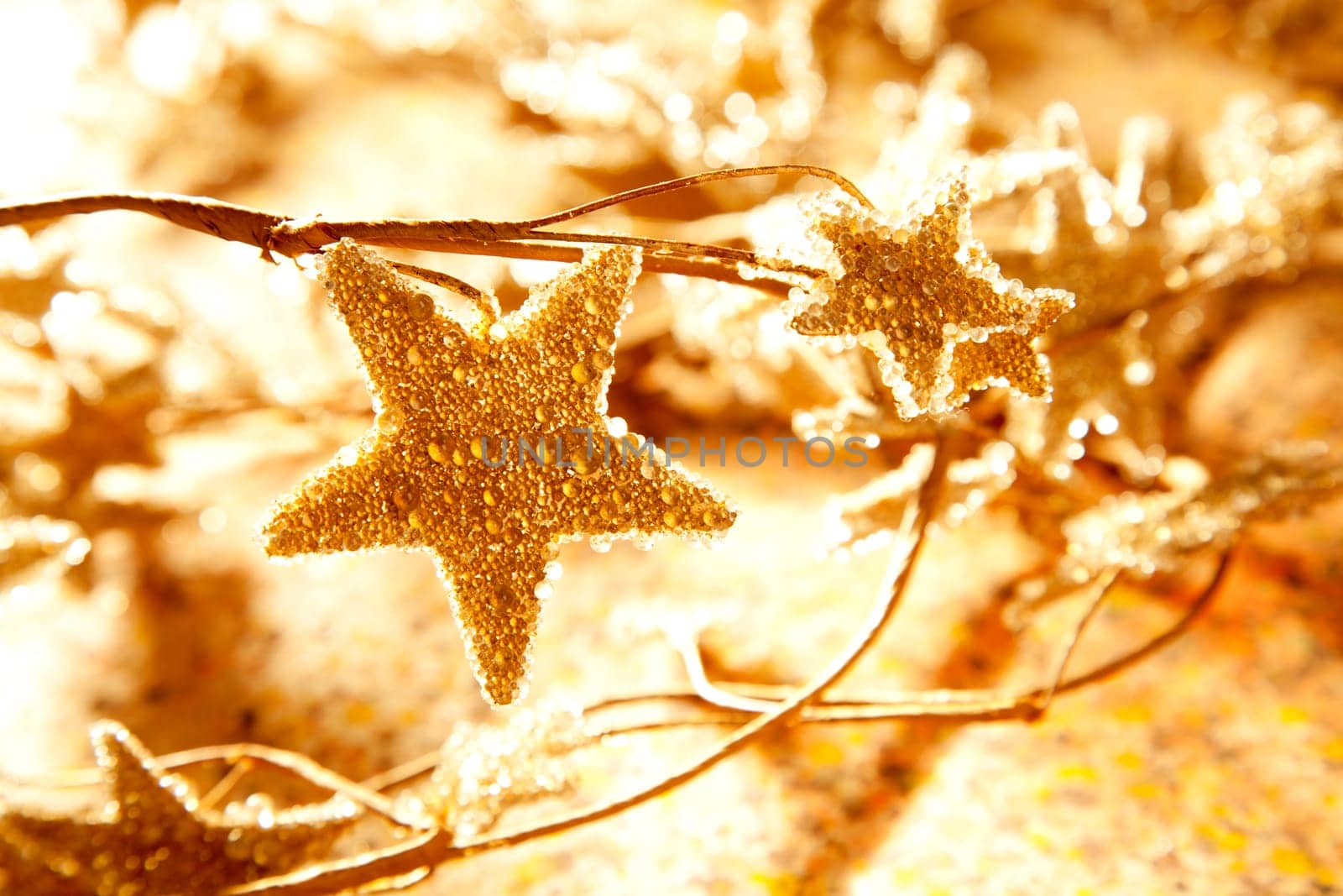 christmas golden stars symbols growing from branch