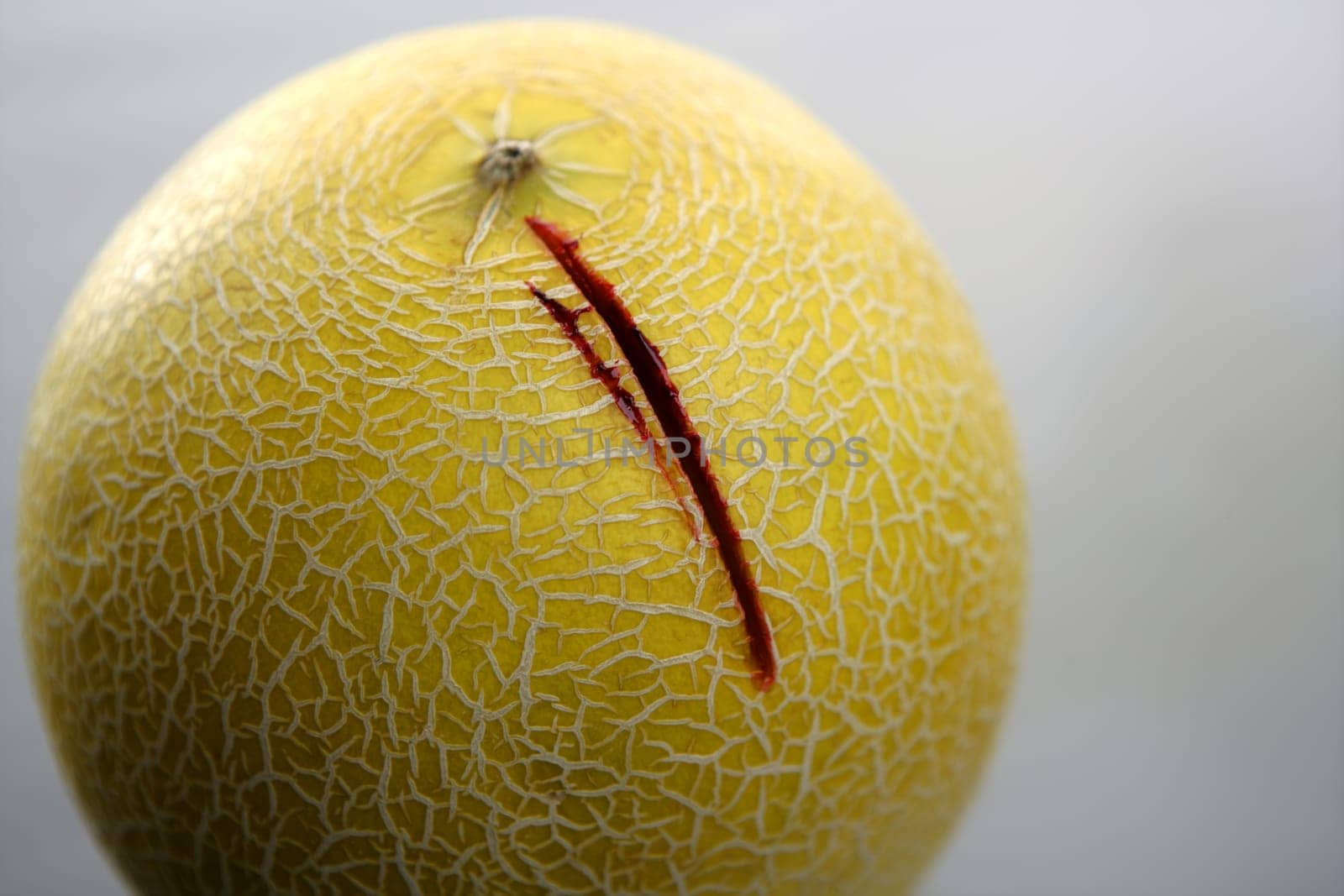 Bloody yellow melon killed by knife. Wound with blood metaphor