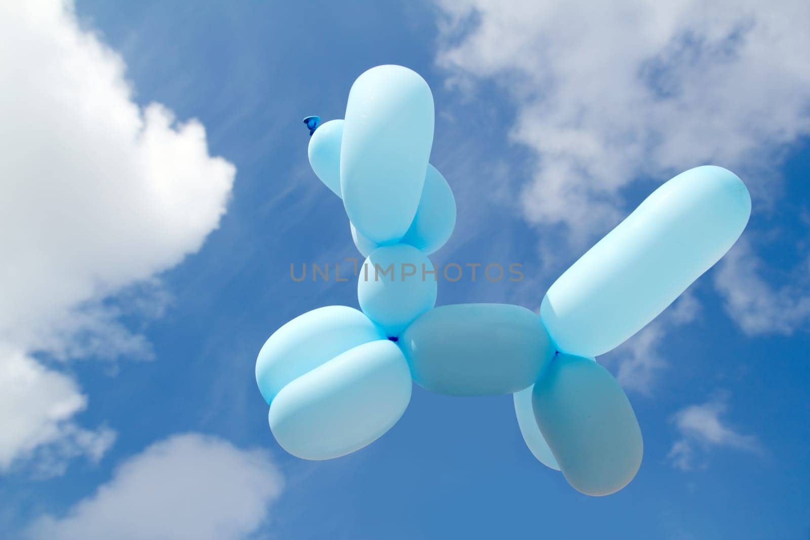 ballon with poodle dog caniche shape flying in blue sky sunny day