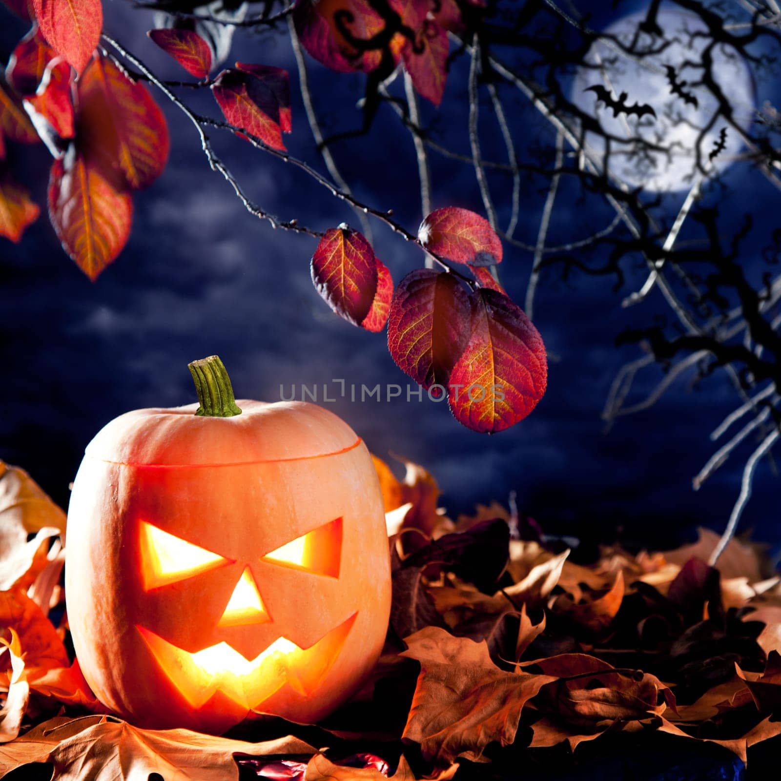 halloween lantern pumpkin  in dark sky clouds moonlight
