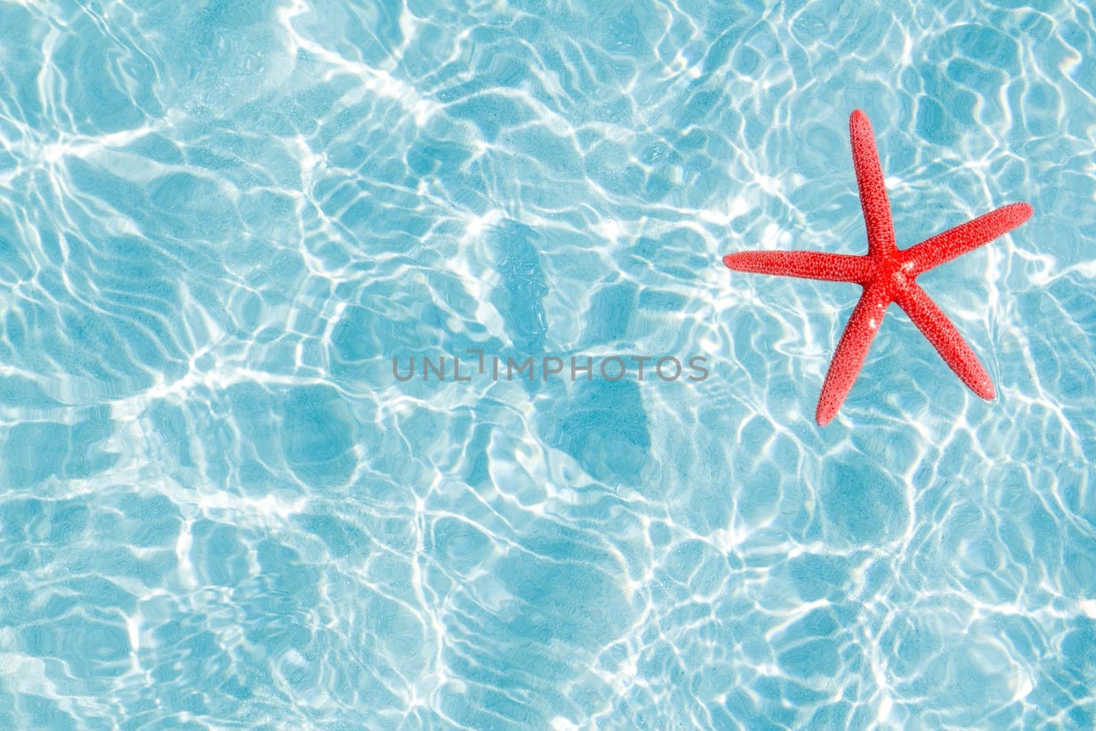 floating red starfish in turquoise sand beach ripple water