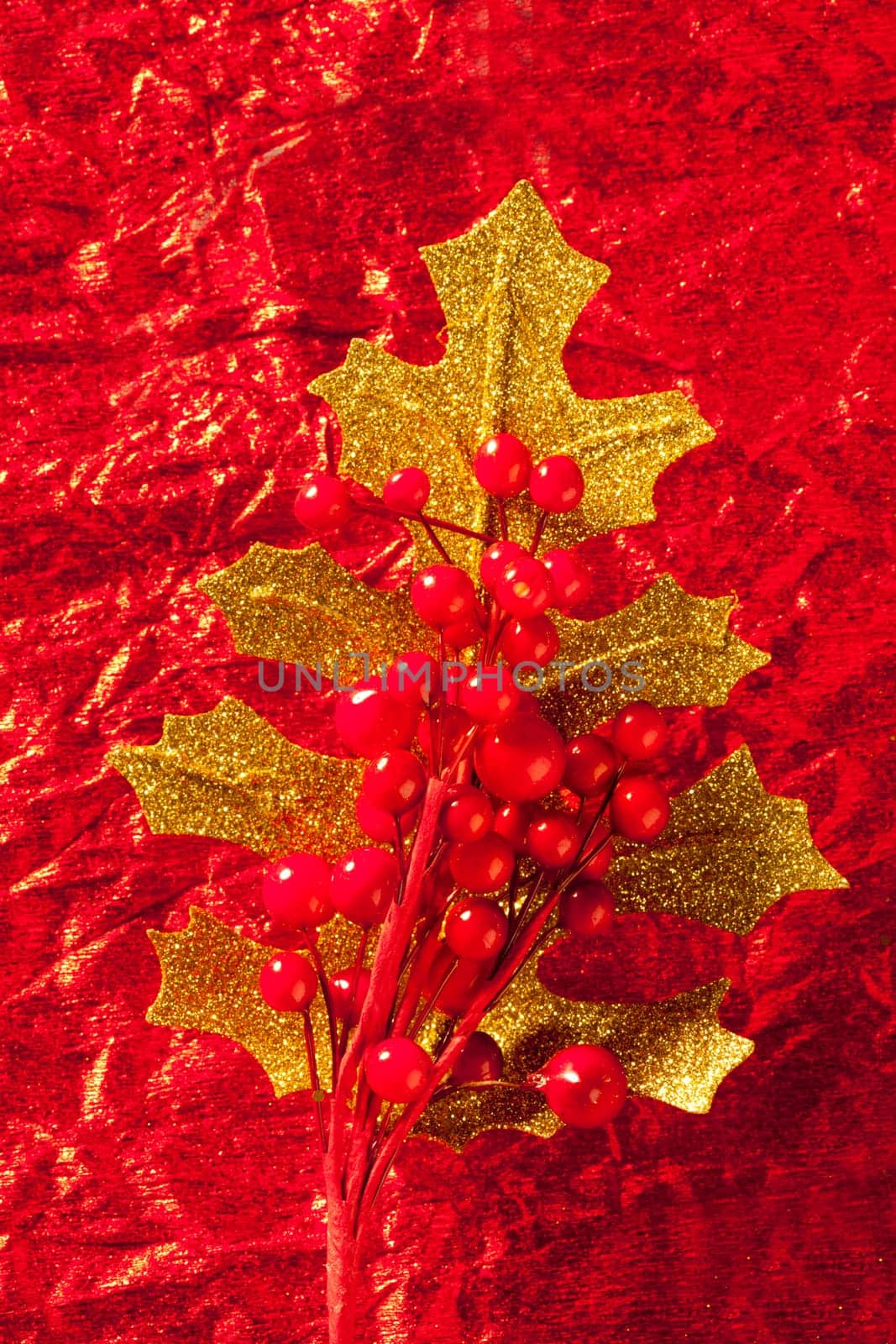 Christmas card of golden leaf and red berries
