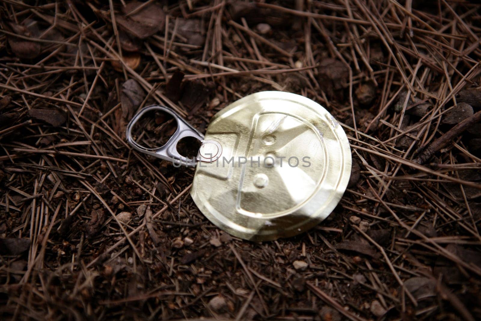 Top of a can over a forest floor. Enviromental issue