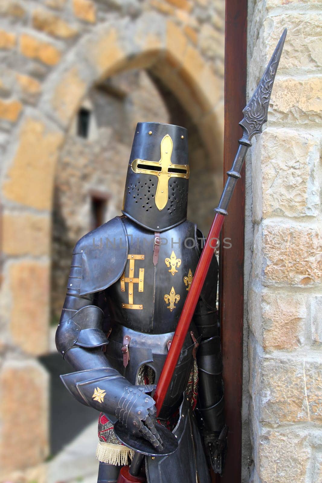 Medieval warrior soldier metal protective wear swordman