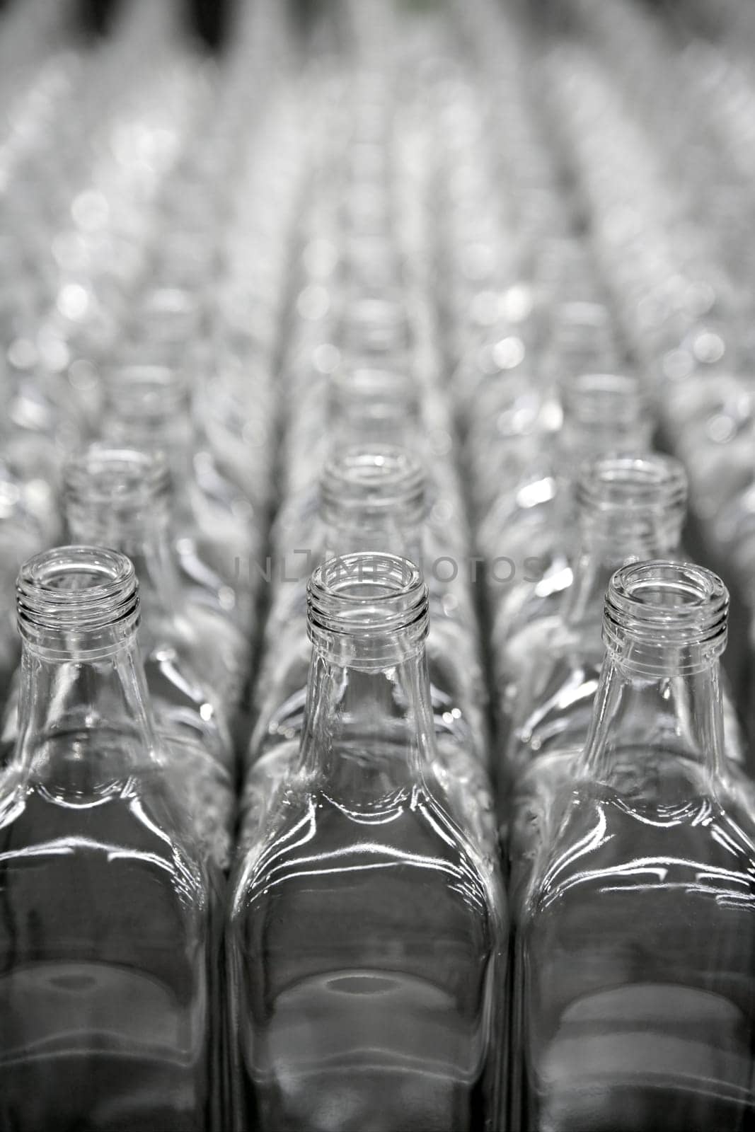 Glass square transparent bottles, factory lines and rows