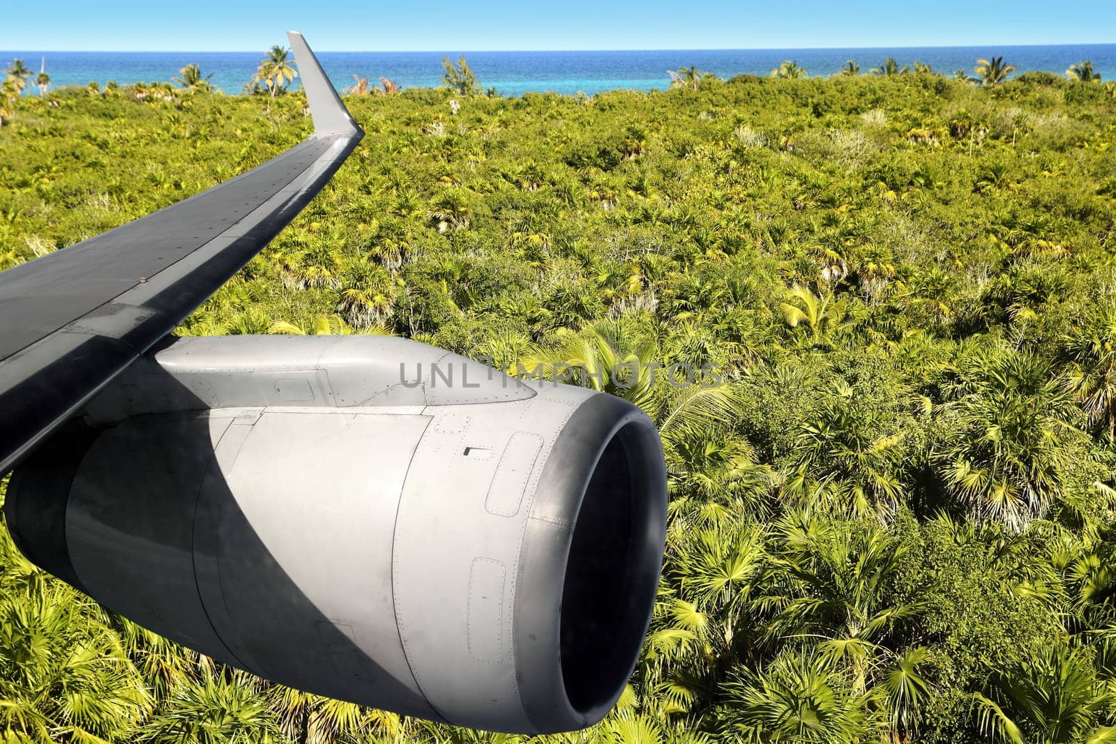 airplane wing aircraft turbine flying over palm trre mangrove jungle