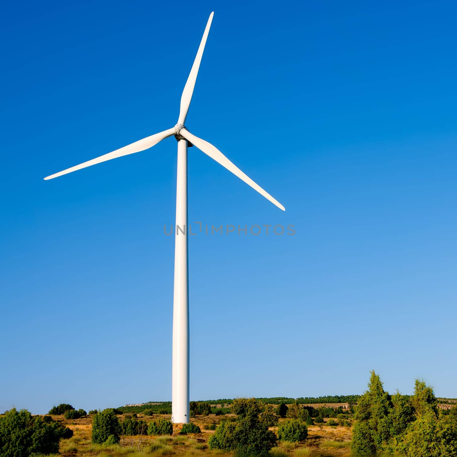 aerogenerator windmill in sunny blue sky day