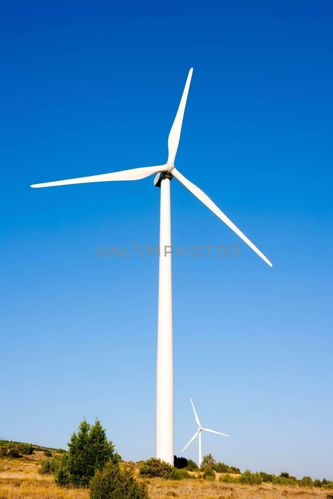 aerogenerator windmill in sunny blue sky day