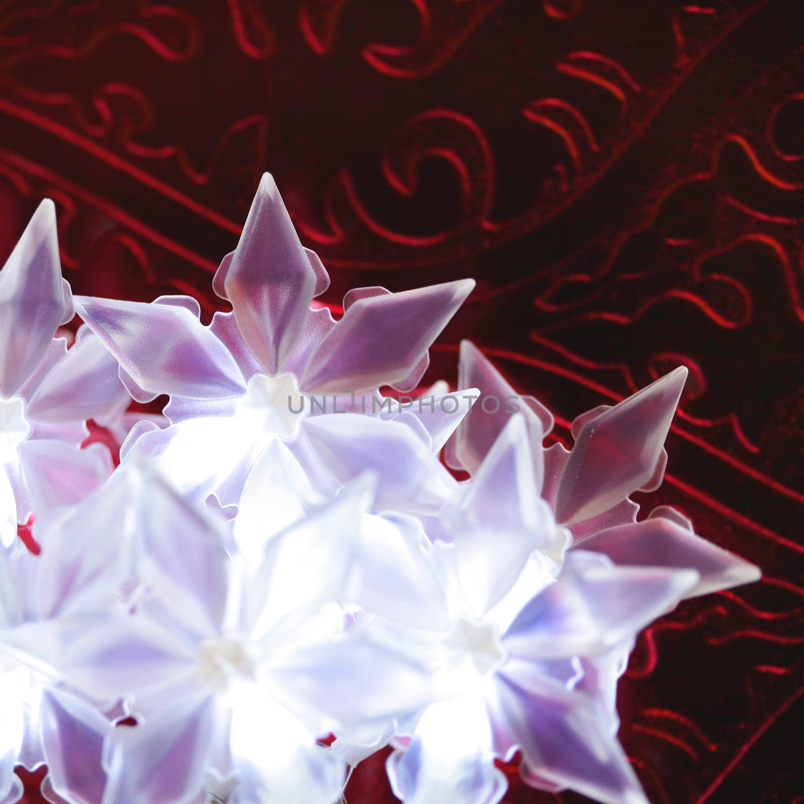 Christmas star, xtmas, red, celebration macro detail