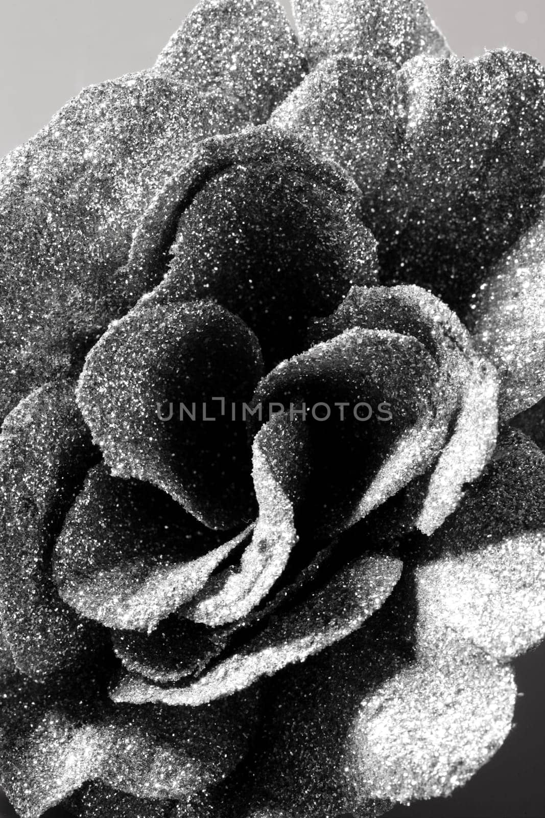 Christmas decoration detail, glitter flower in black and white