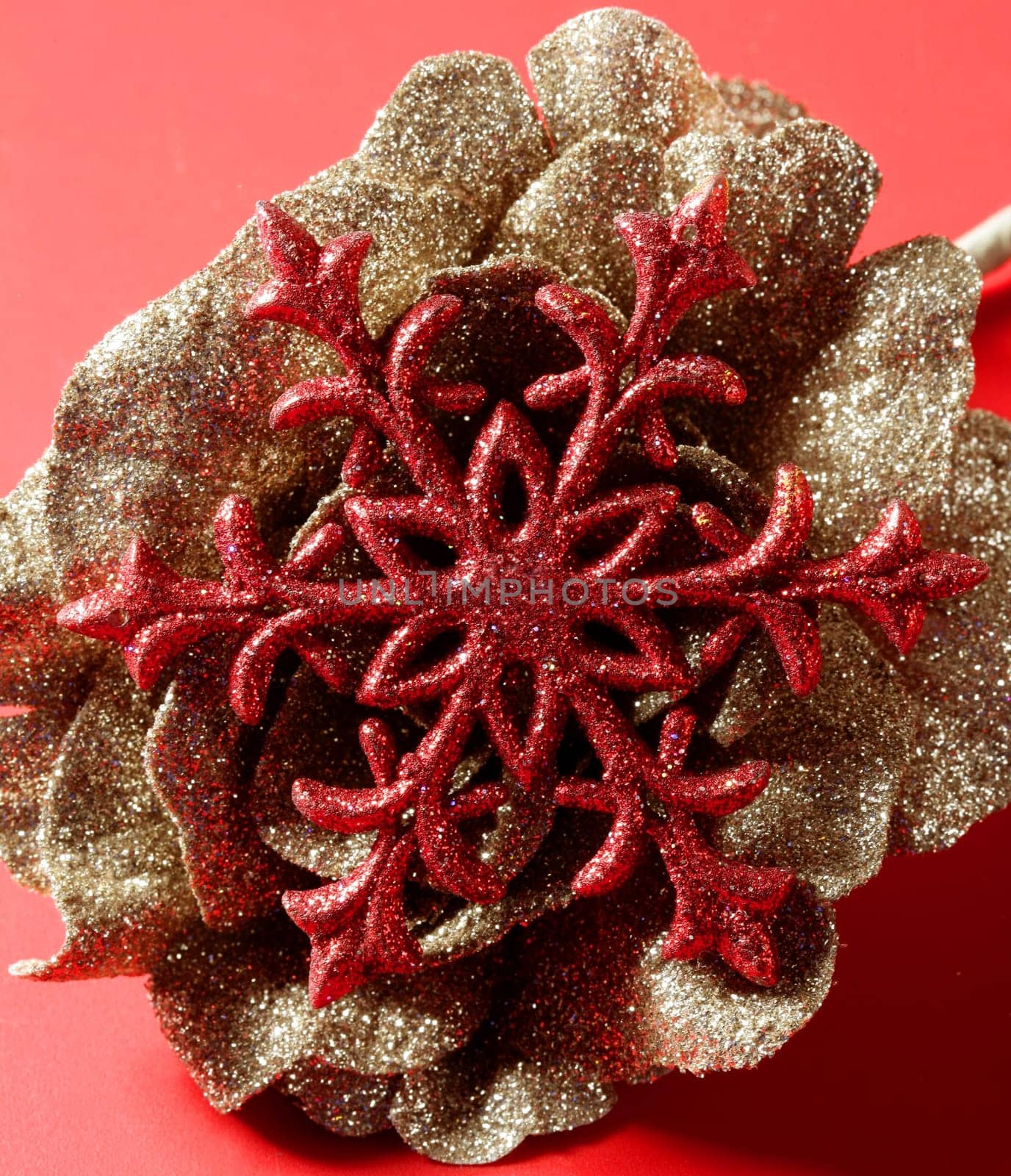 Christmas star, xtmas, red, celebration macro detail