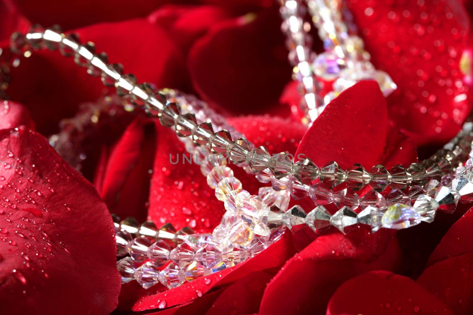 Shiny jewelry over bed or red rose petals