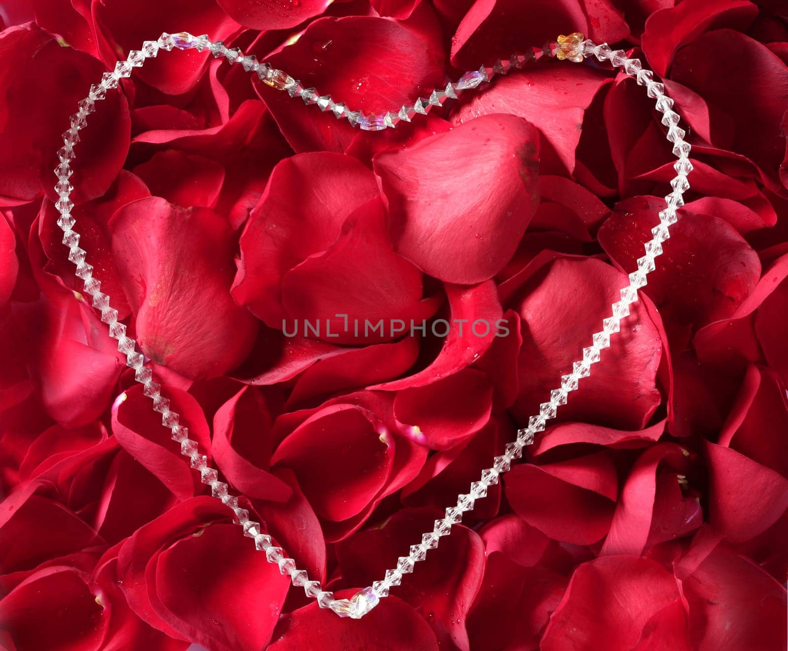 Jewel necklace over bed of red rose petals