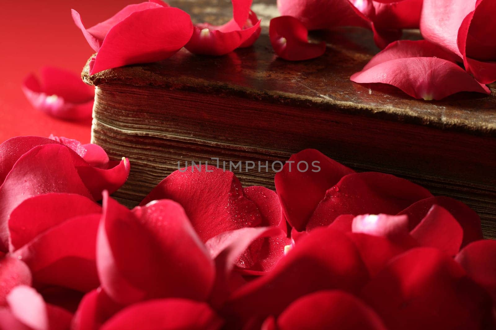 Rose petals over old aged book, romantic love metaphor
