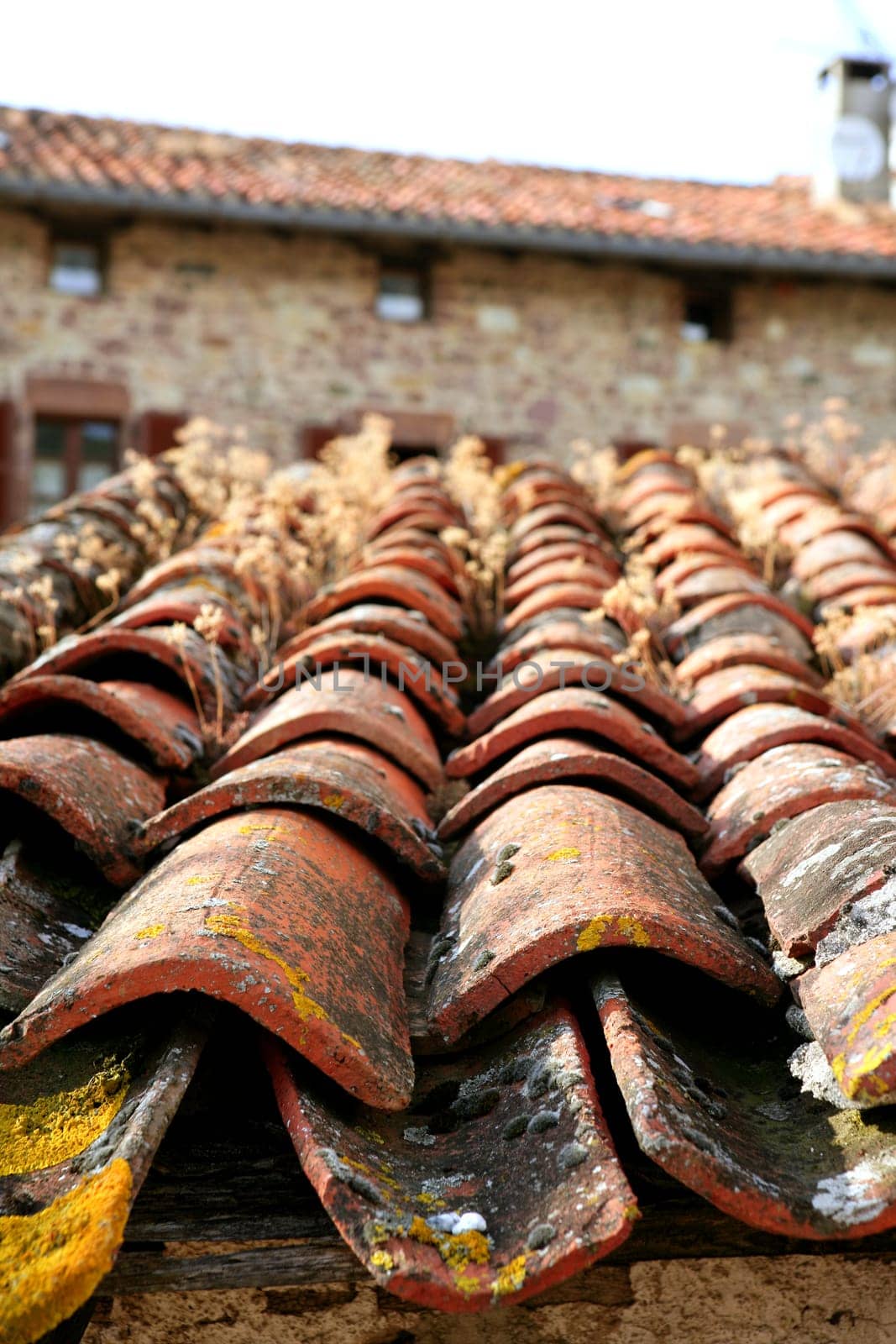 Architectural detail of grunge aged roof clay tiles