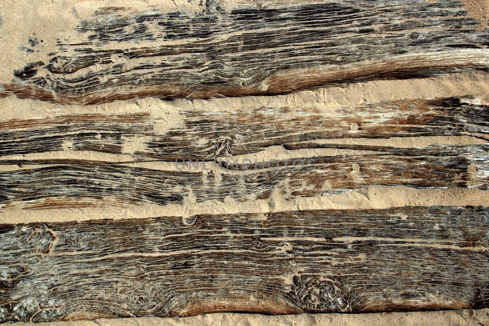 aged beach wood texture with sand weathered grunge